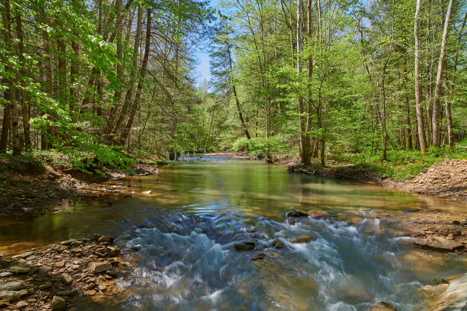 Small Rapids on War Creek in Eastern Kentucky. by patrickstock