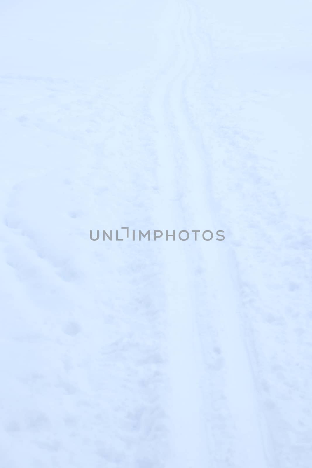 Snow skiing track surface. Ski trail texture. Ski run traces background. by sanches812