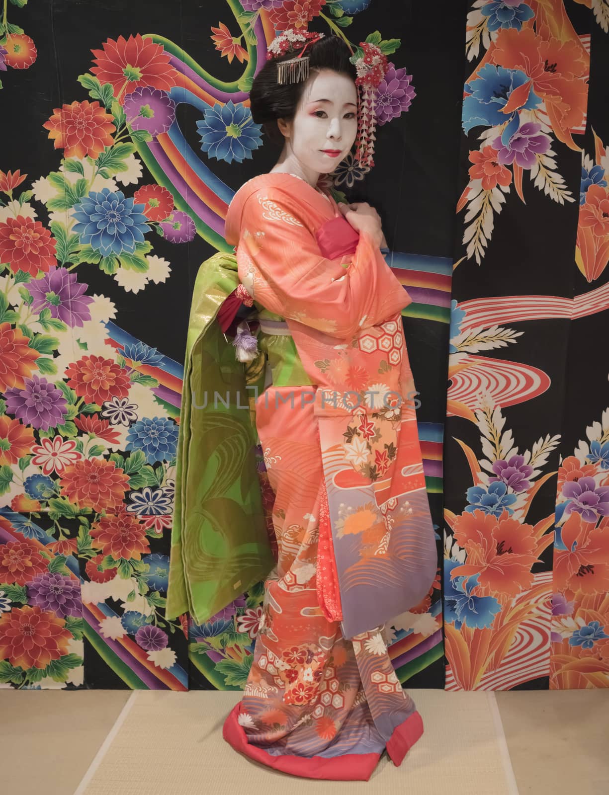 Maiko in kimono posing in front of a background with traditional floral pattern on a tatami.