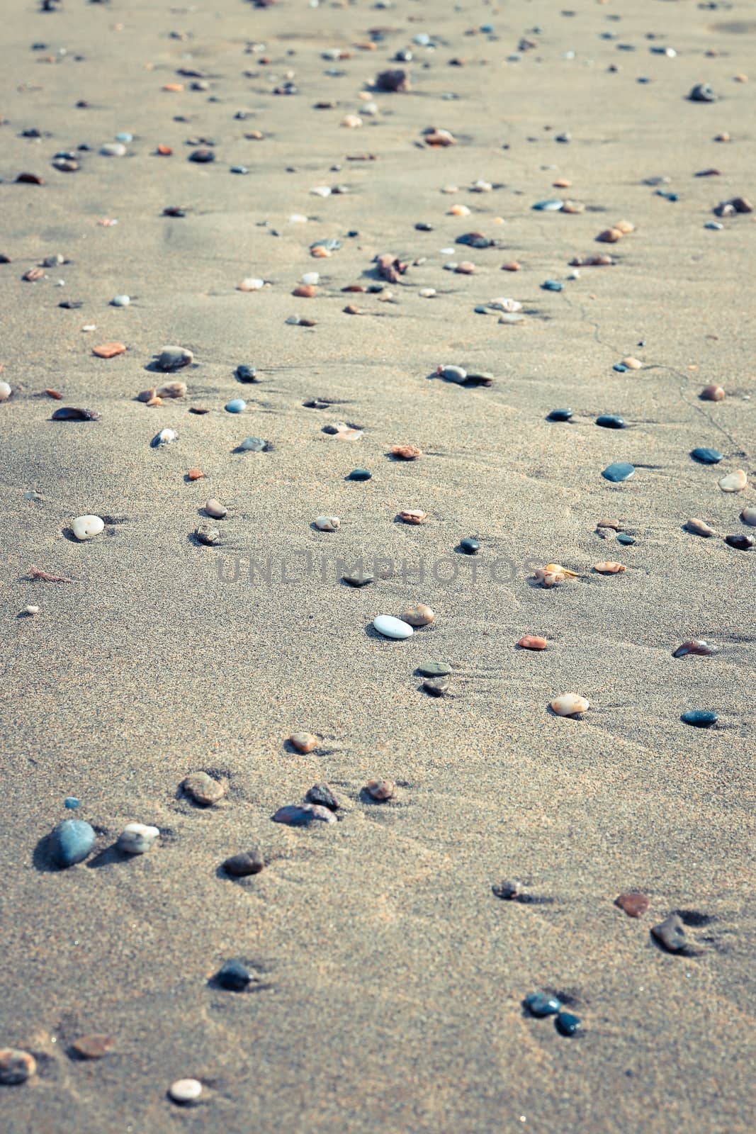Different stones with stains on the wet sand. Rare pebble background. Beach beauty backdrop.