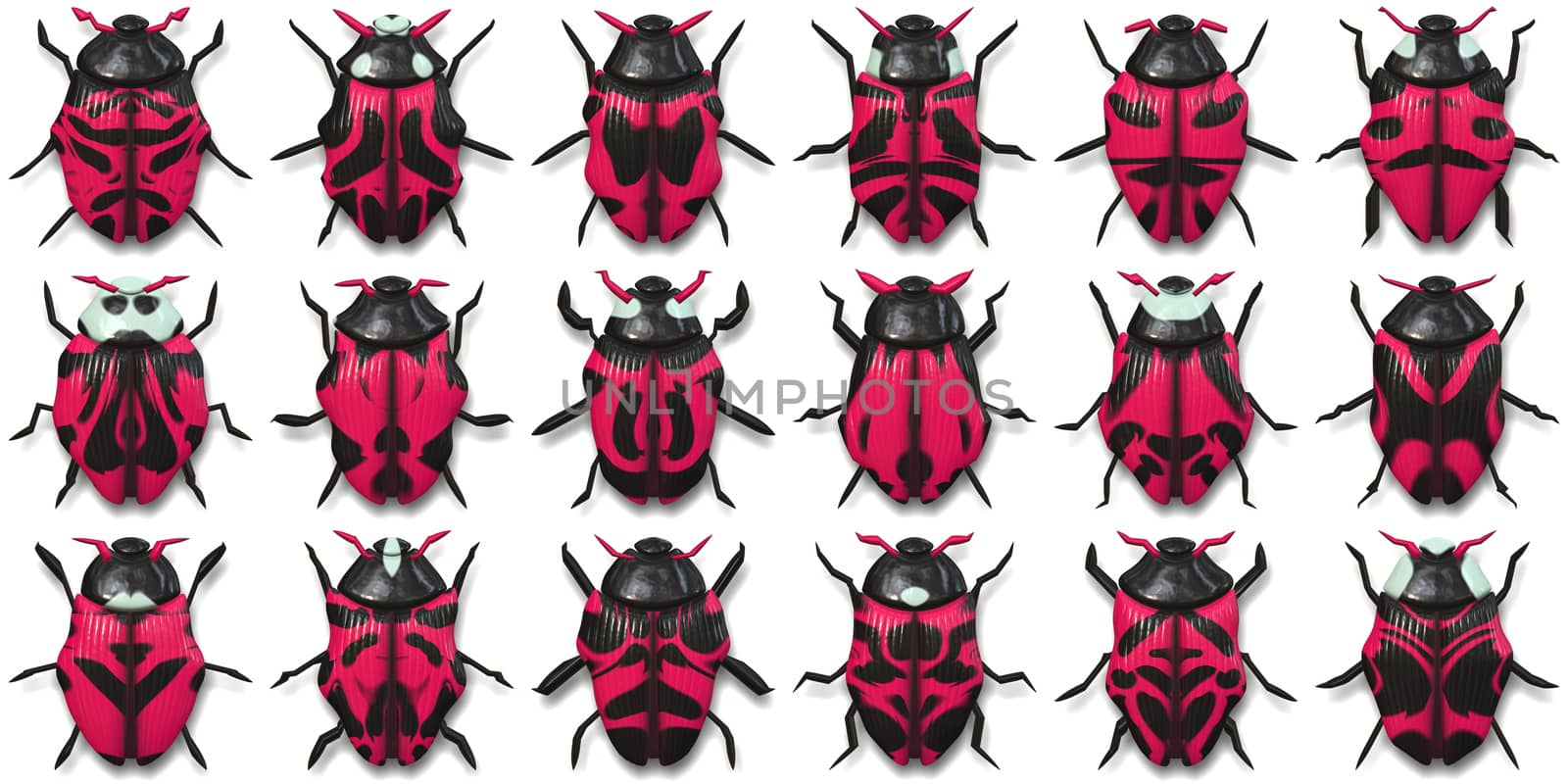 Isolated Beetle Collection Background. Many Bugs Wildlife Surface. Macro Closeup. 3D Illustration. 3D Rendering.