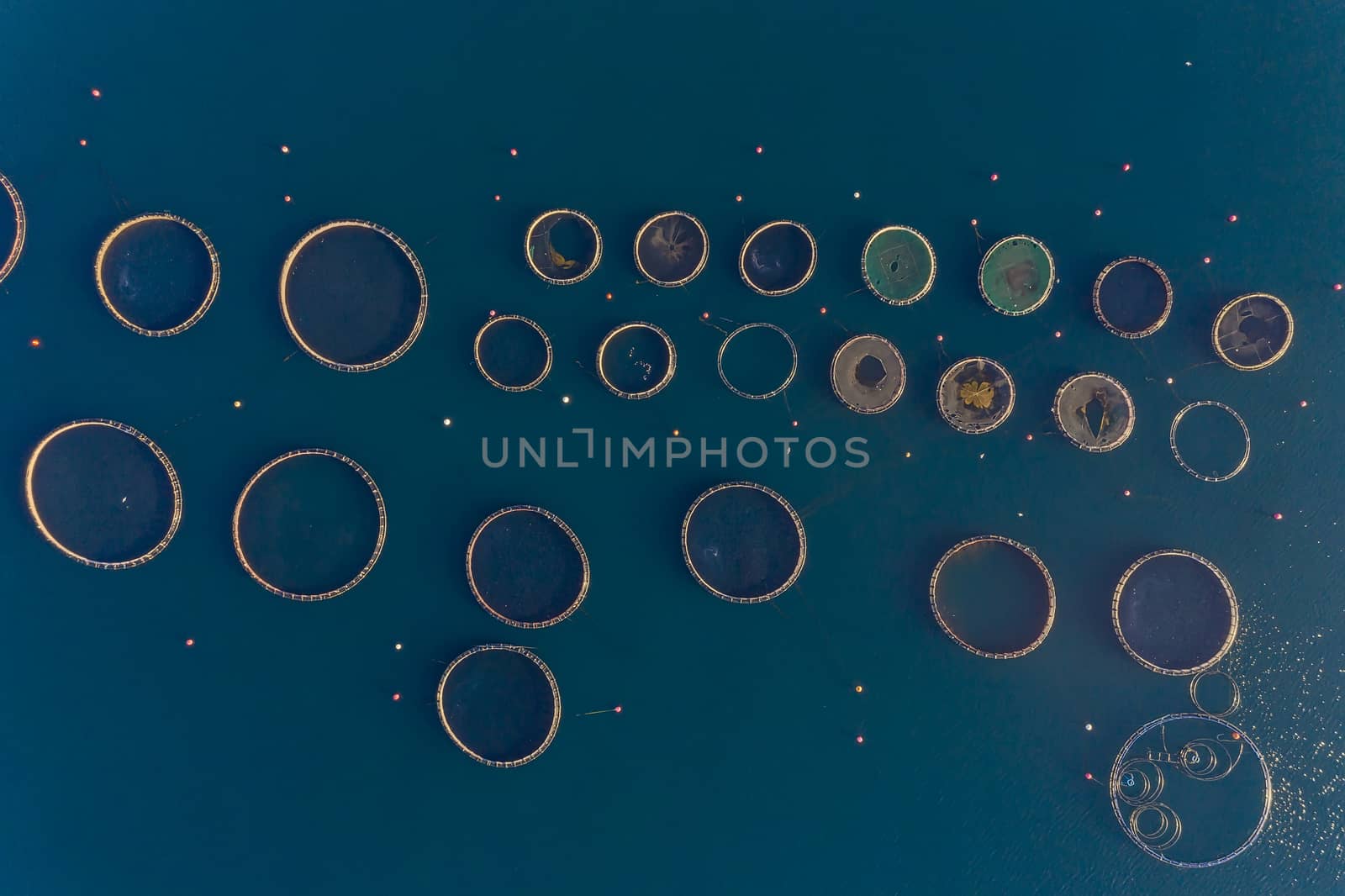 Fish farm with floating cages in Chalkidiki, Greece. Aerial view