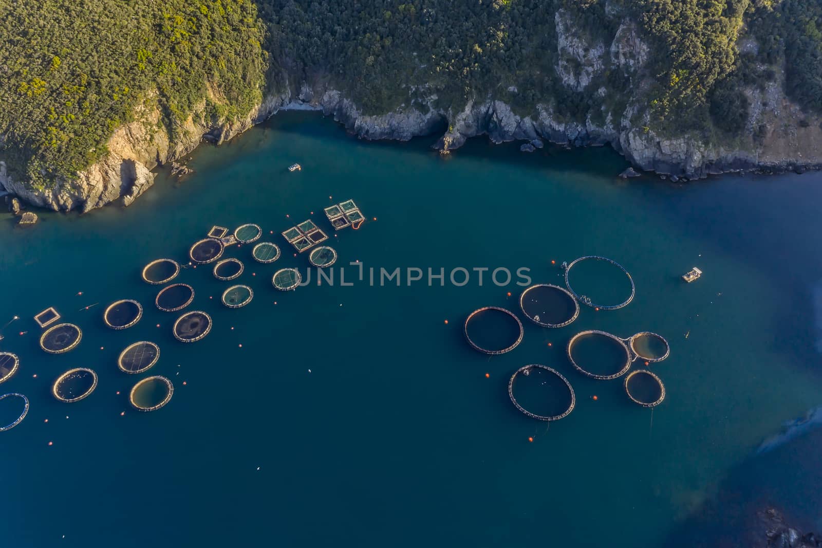 Fish farm with floating cages in Chalkidiki, Greece. Aerial view