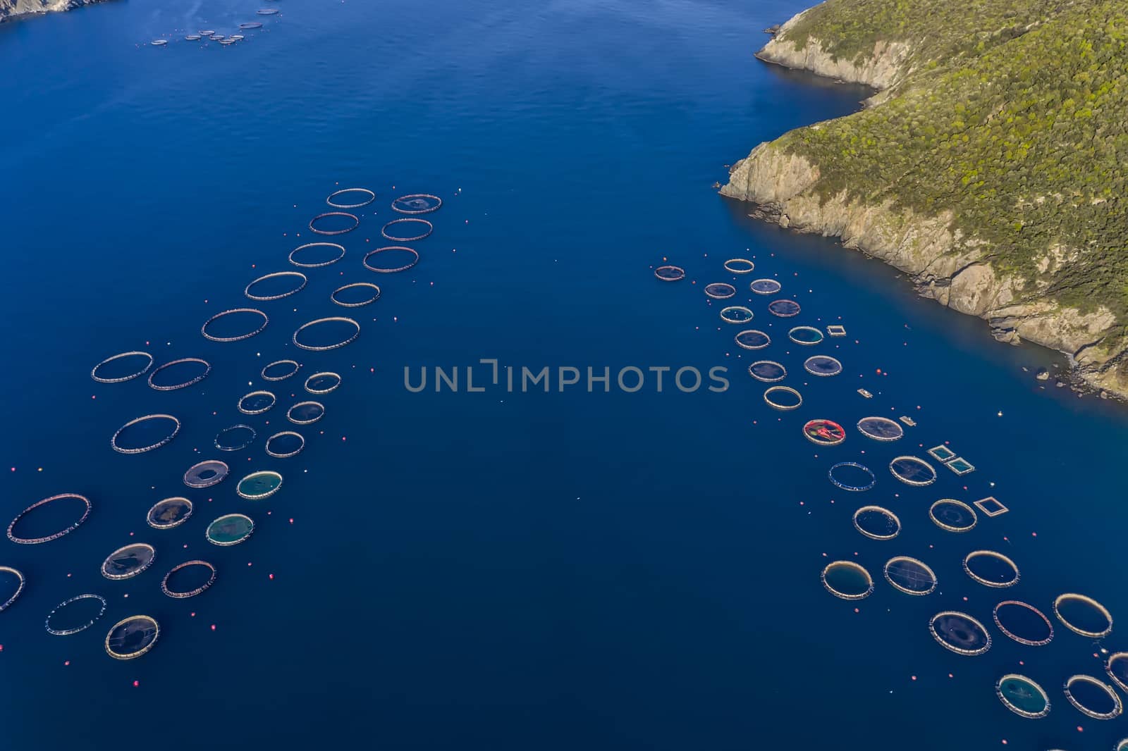 Fish farm with floating cages in Chalkidiki, Greece. Aerial view