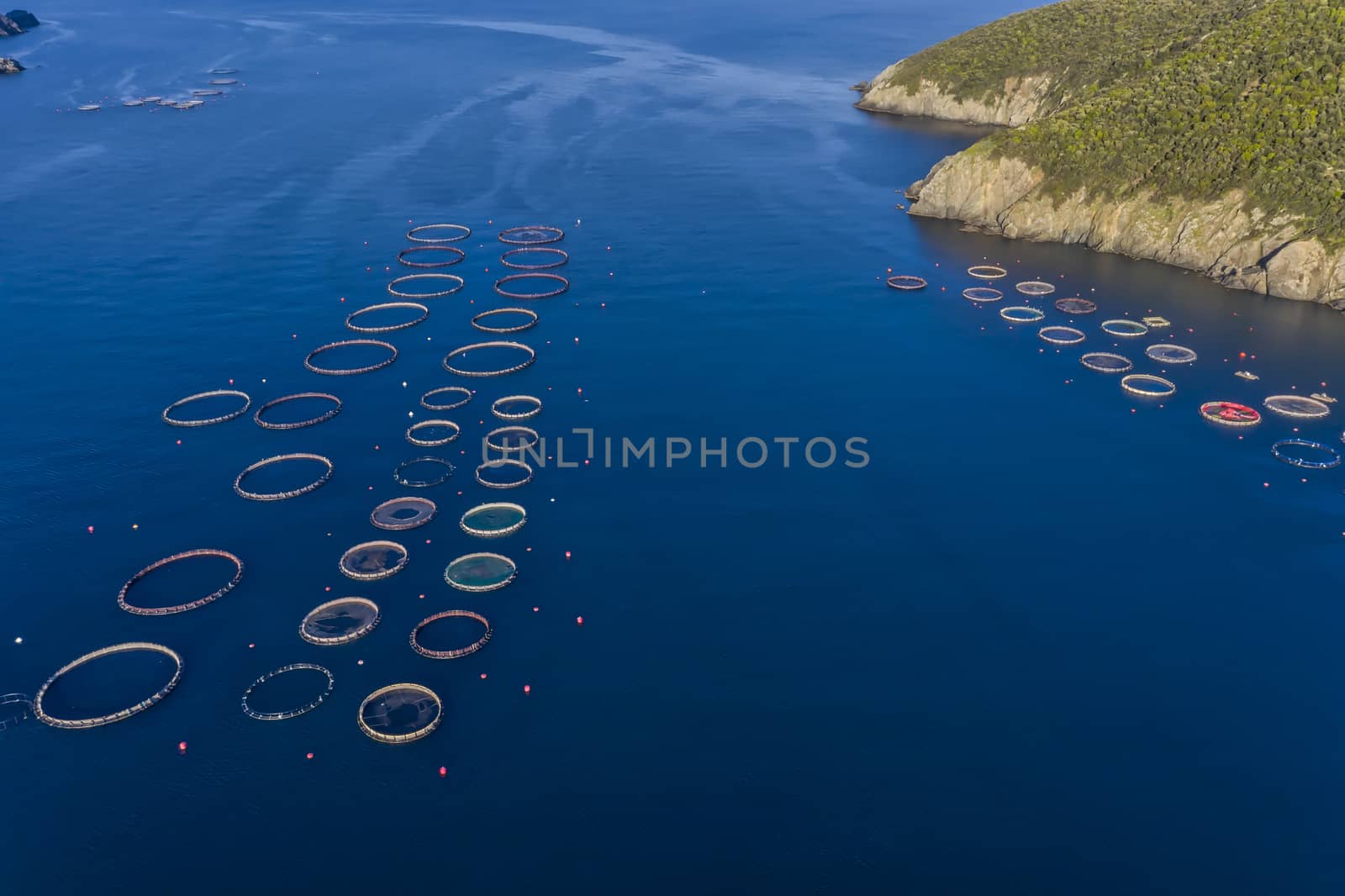 Fish farm with floating cages in Chalkidiki, Greece. Aerial view