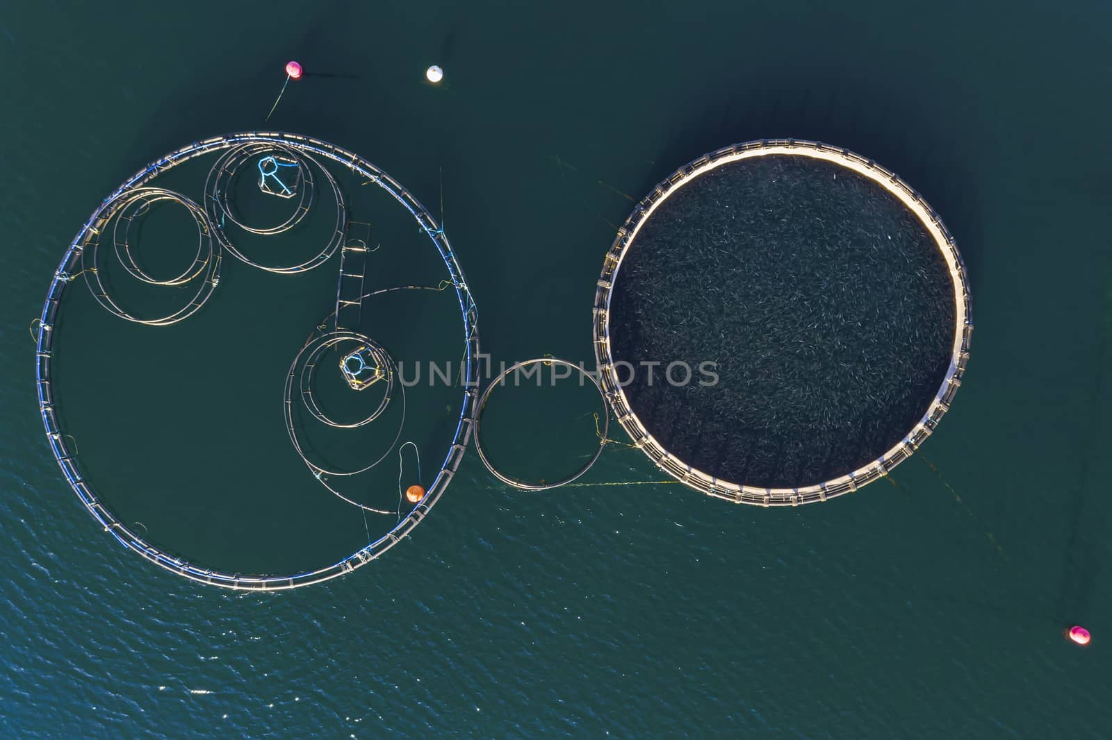 Fish farm with floating cages in Chalkidiki, Greece. Aerial view