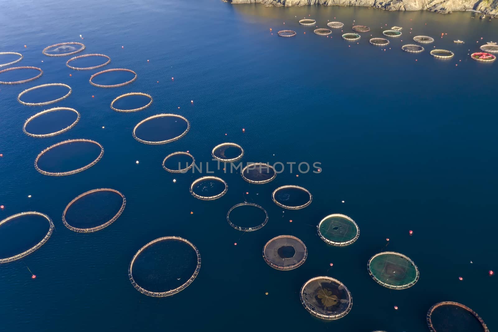 Fish farm with floating cages in Chalkidiki, Greece. Aerial view