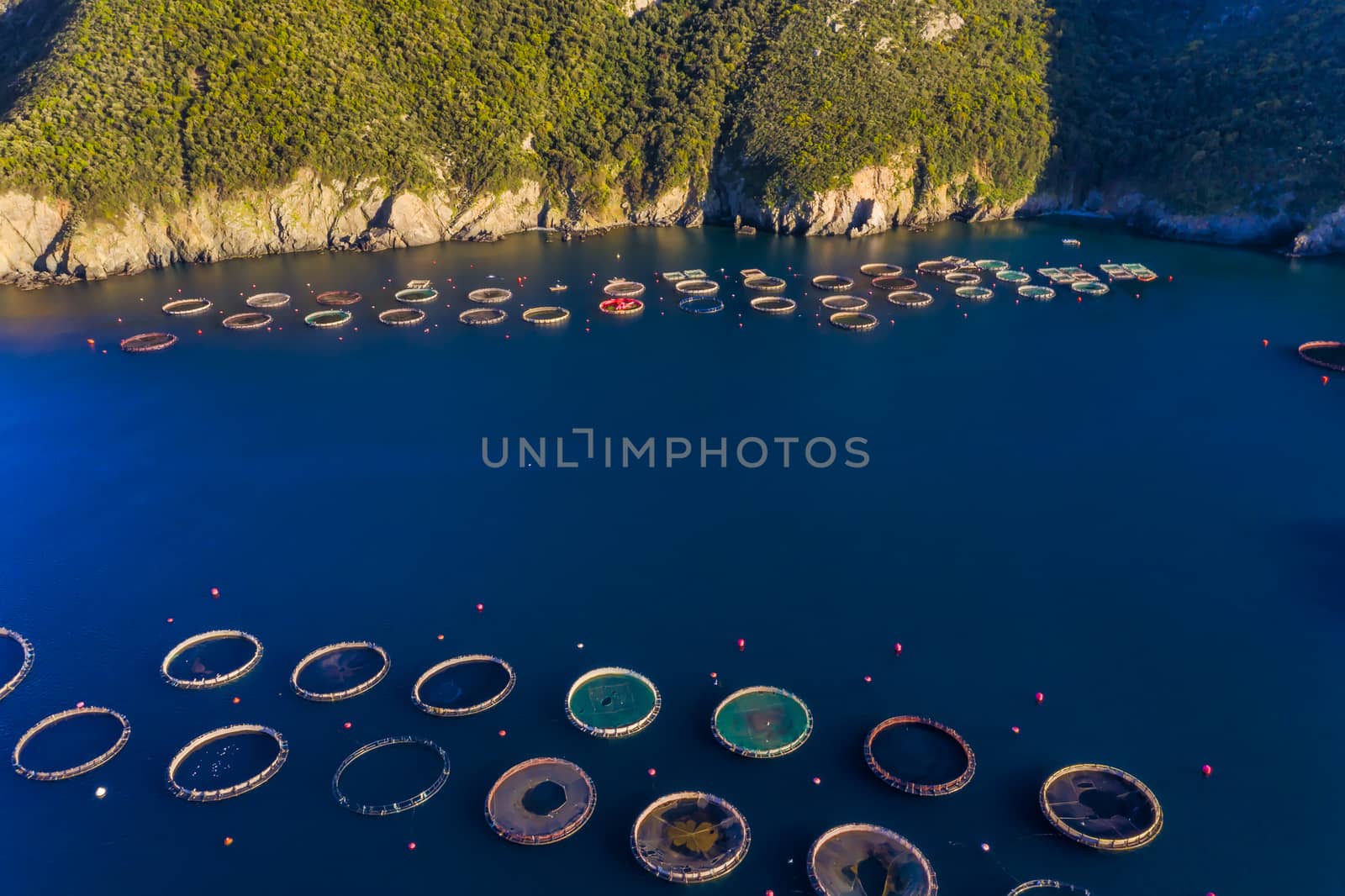 Fish farm with floating cages in Chalkidiki, Greece by ververidis