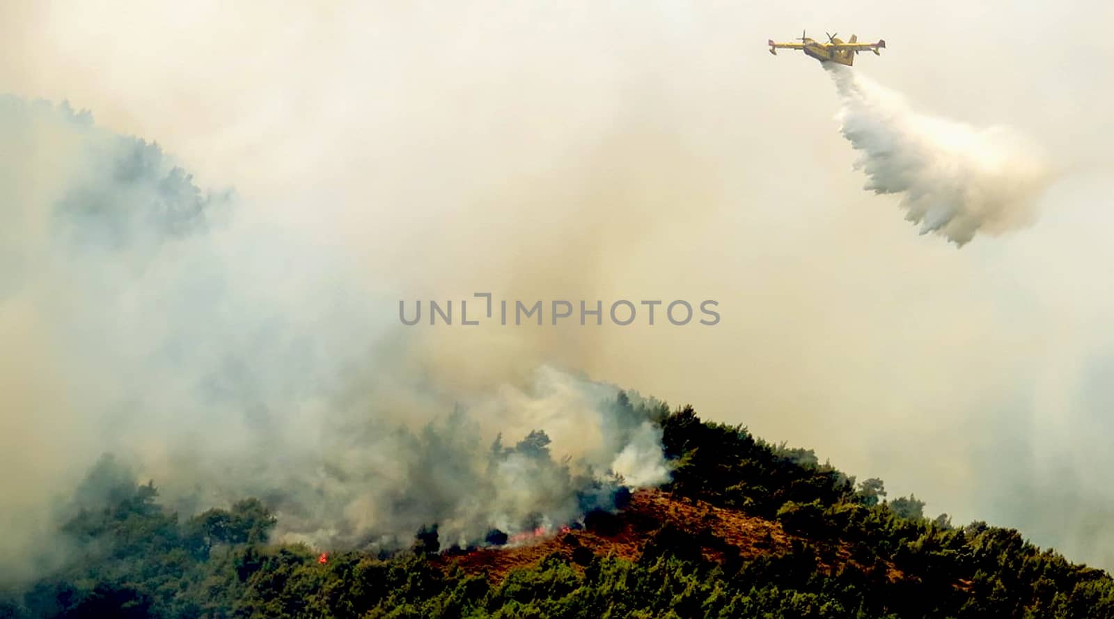 Fire in forest areas in Viotia in Central Greece