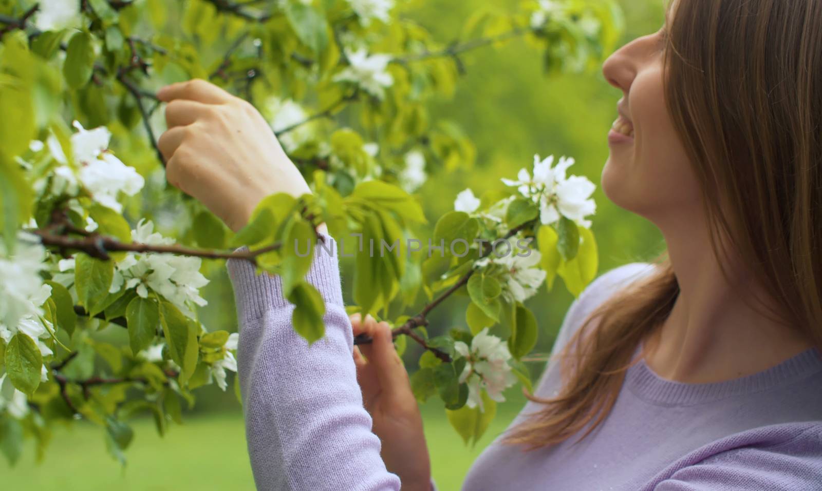 Close up profile portrait of beautiful woman in the garden near apple tree in blossom. She is watching flowers. Beauty in nature. Real people