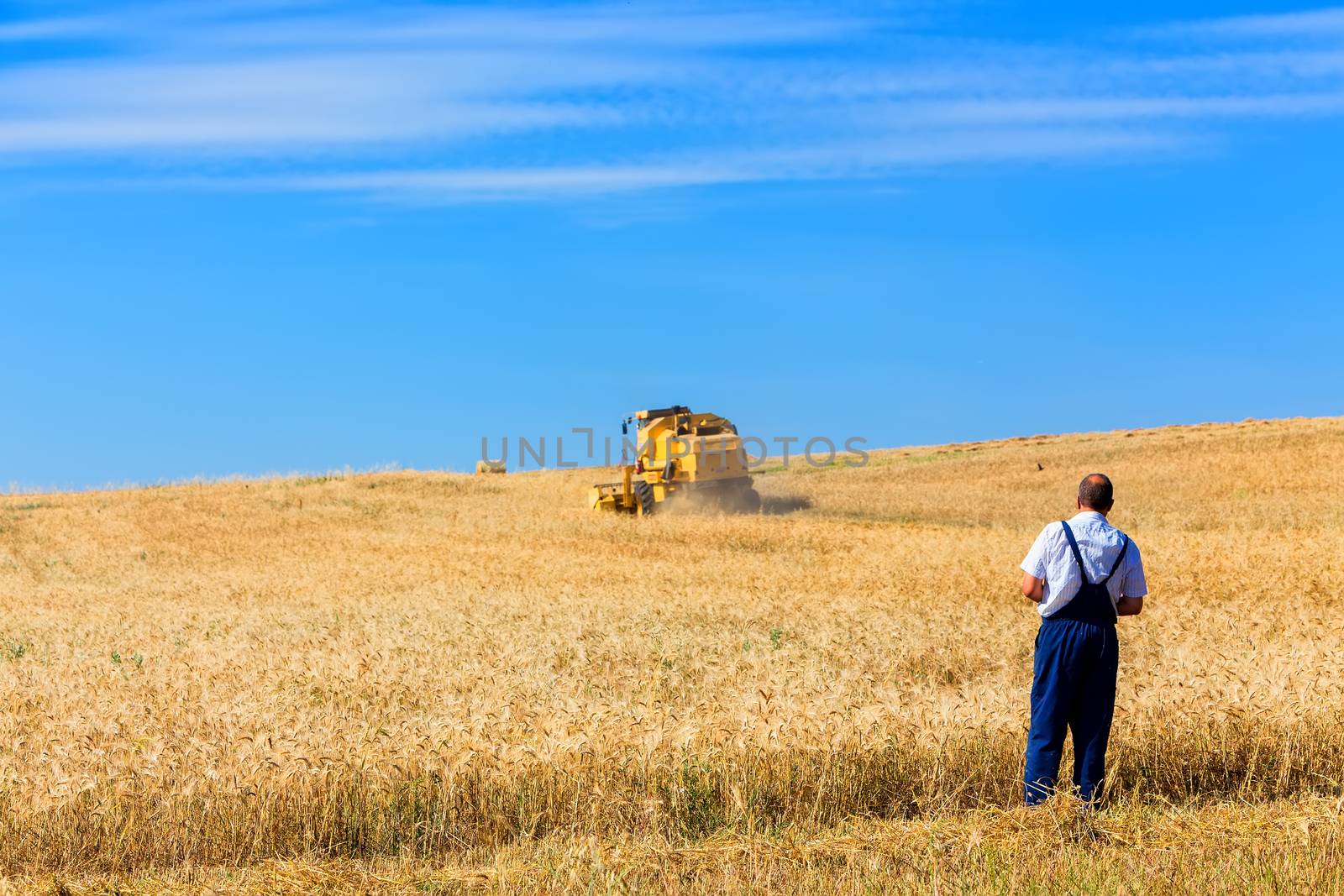 Combine harvester on a wheat field.