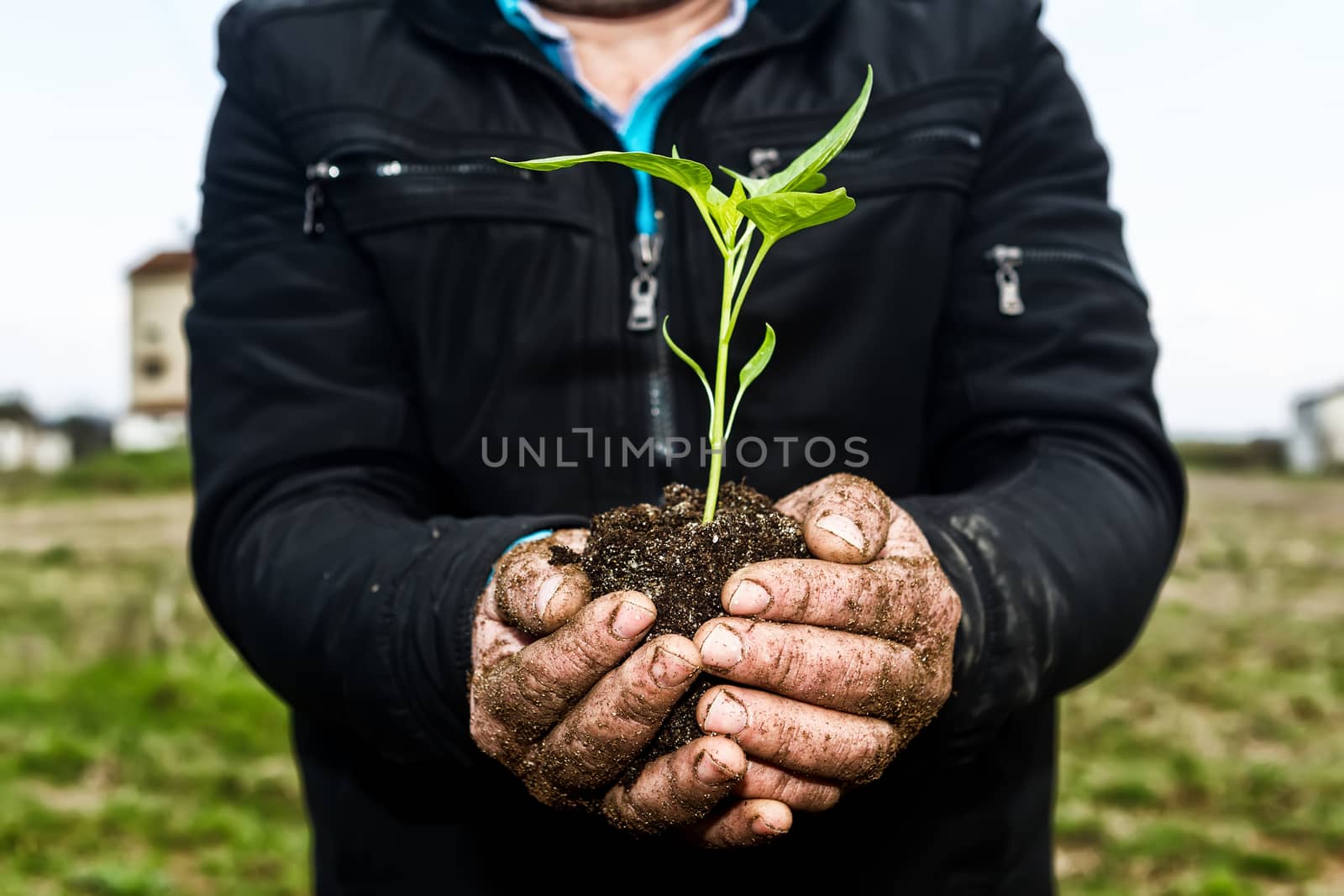 Man hands holding a green young plant. Symbol of spring and ecol by ververidis