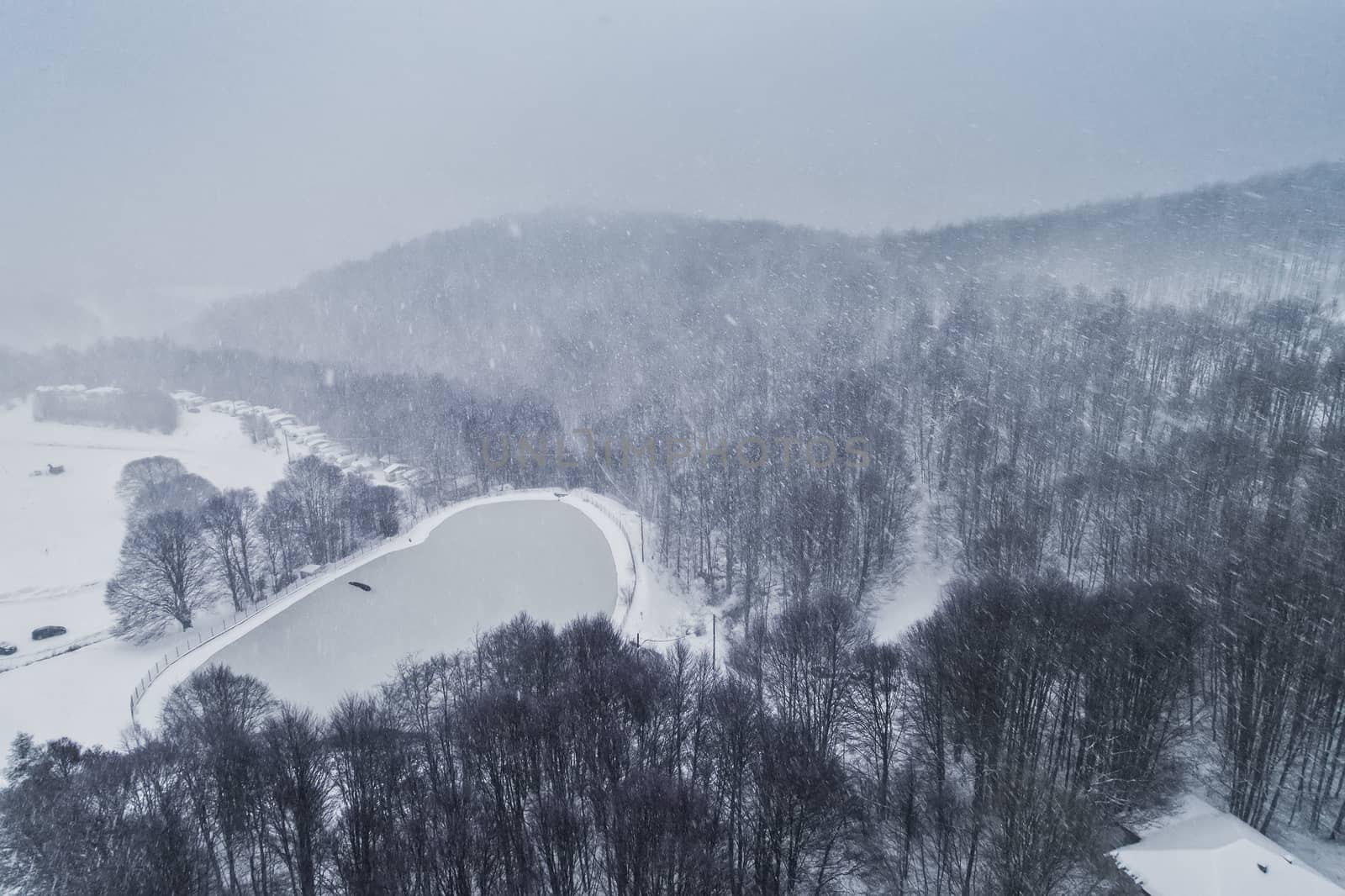 Aerial view of forest in the winter during the snowfall by ververidis
