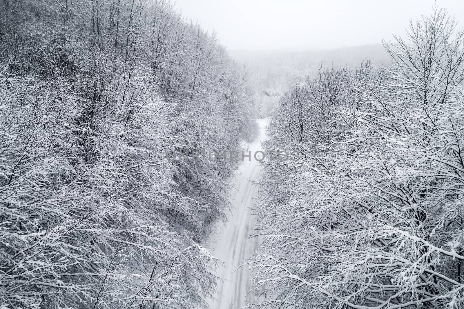 Aerial view of snowy forest with a road by ververidis