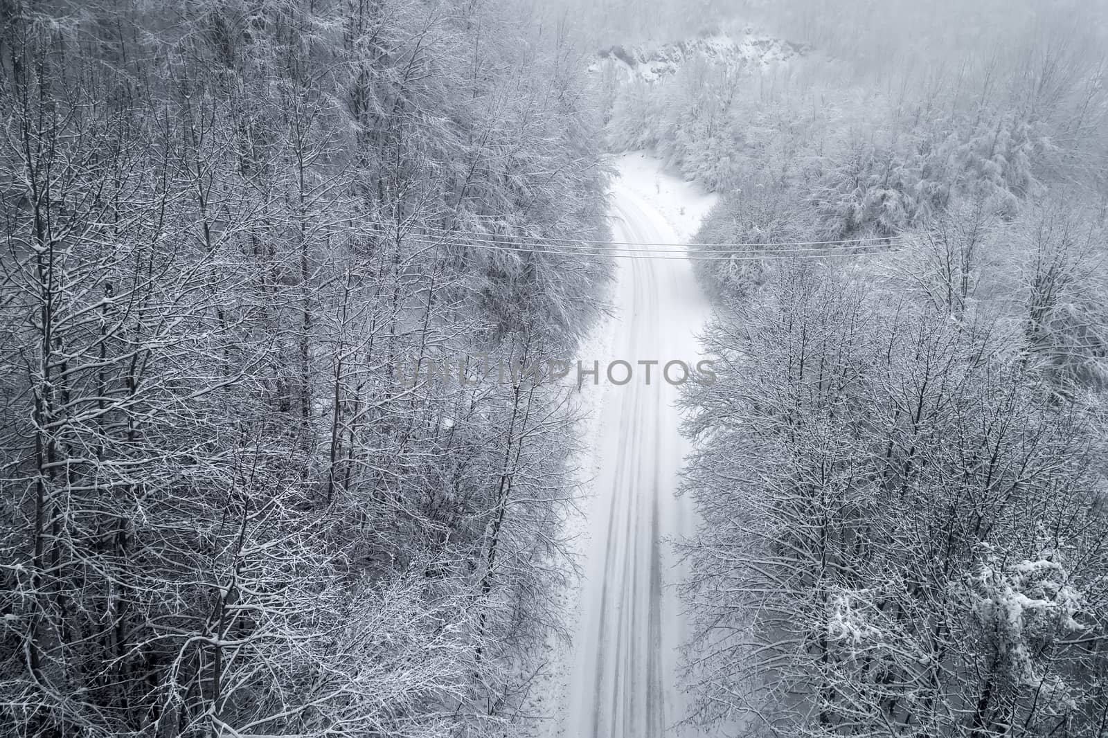 Aerial view of snowy forest with a road by ververidis