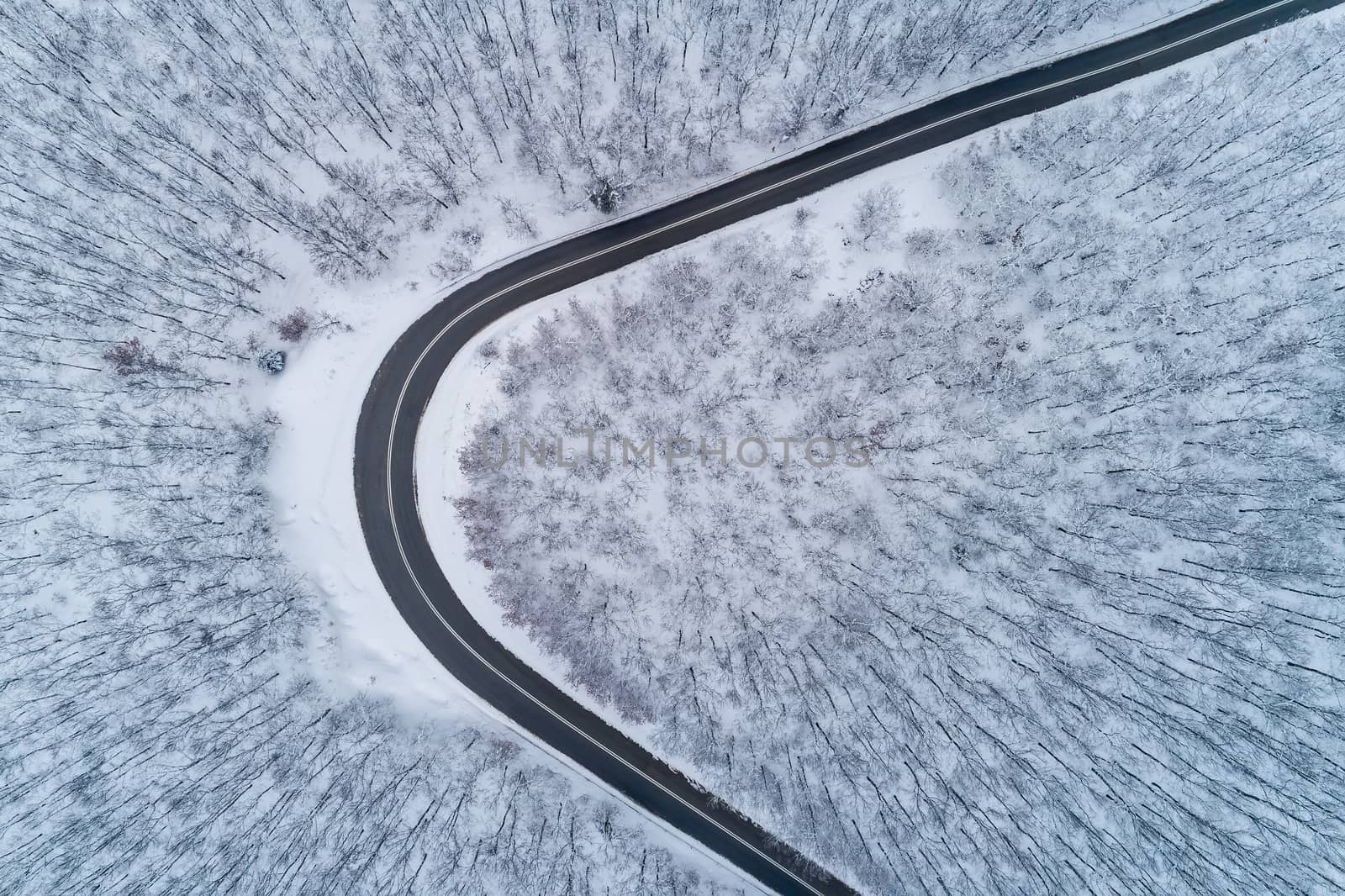 Aerial view of a provincial road passing through a snowy forest ιn Chalkidiki, northern Greece