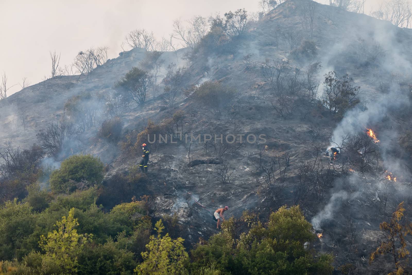 Chalkidiki, Greece - Sept 22, 2017: Burnt surface of the earth after a forest fire a fire in a pine forest in Kassandra, Halkidiki
