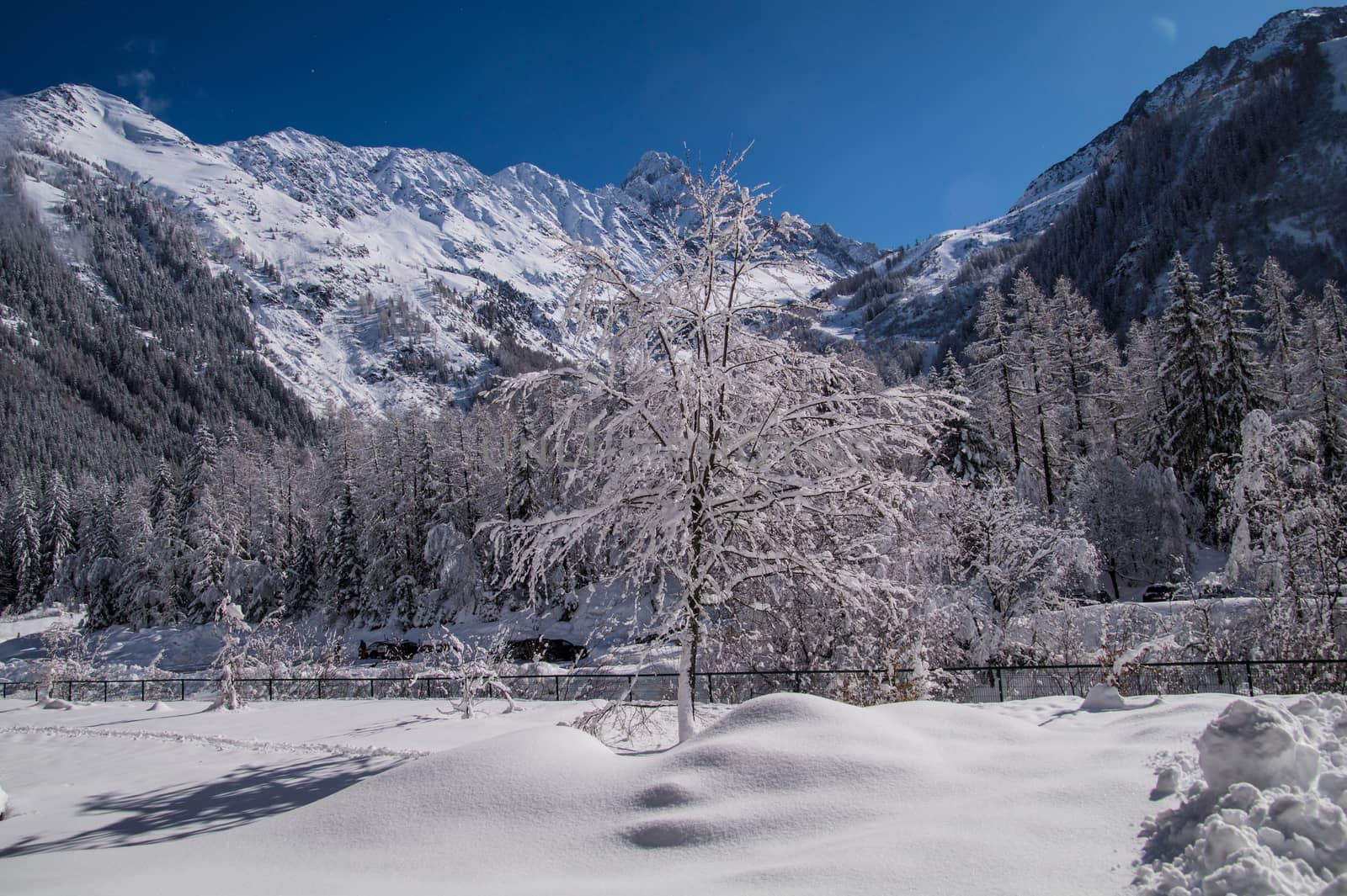 argentiere in chamonix in haute savoie in france