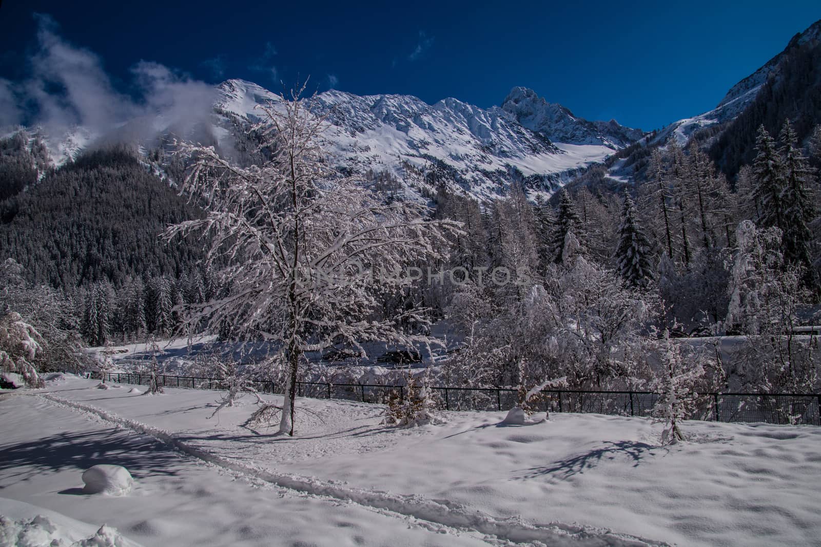 argentiere in chamonix in haute savoie in france