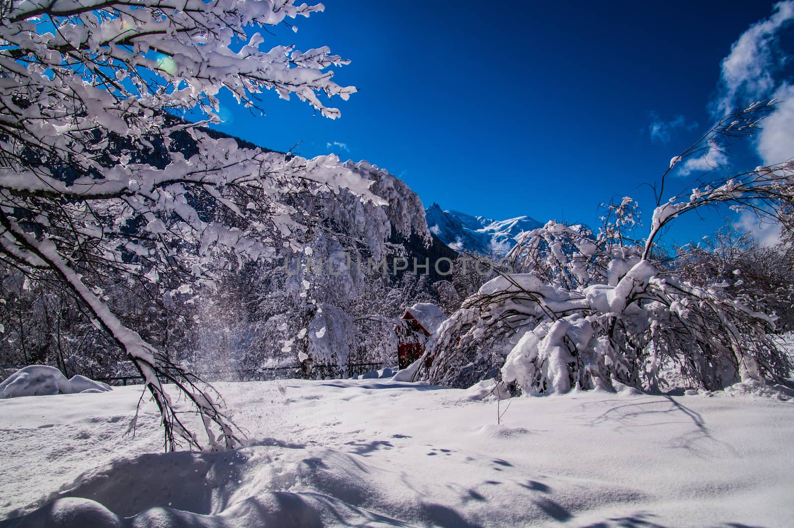 argentiere in chamonix in haute savoie in france