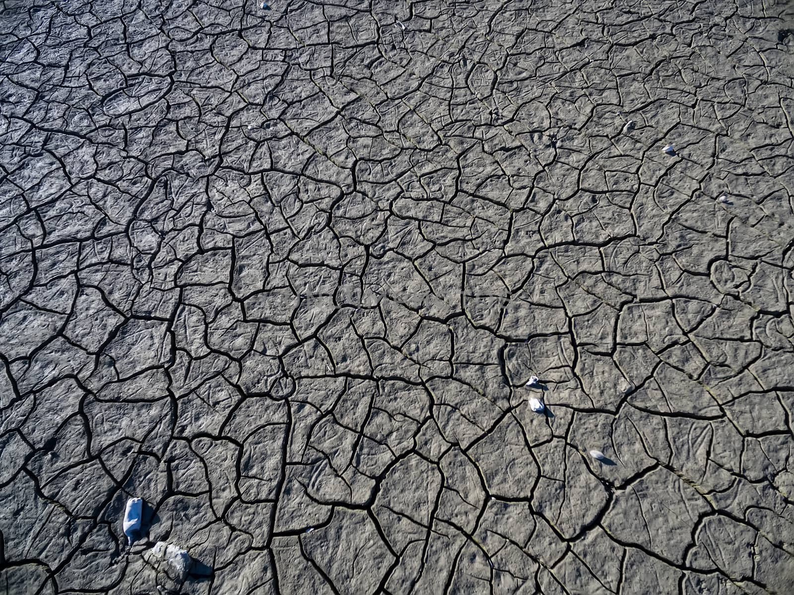 Dry lake bed with natural texture of cracked clay in perspective by ververidis