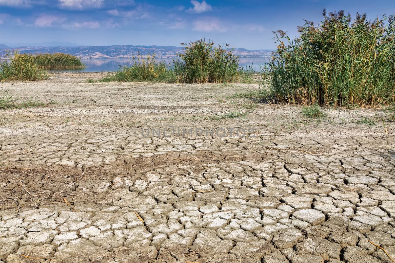 Dry lake bed with natural texture of cracked clay in perspective by ververidis