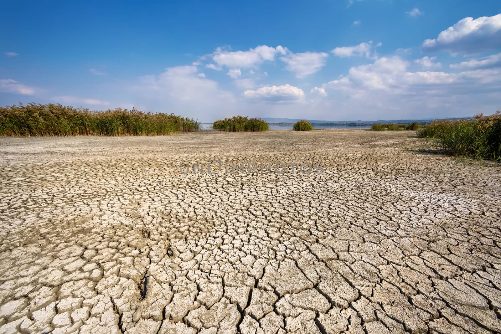 Dry lake bed with natural texture of cracked clay in perspective by ververidis