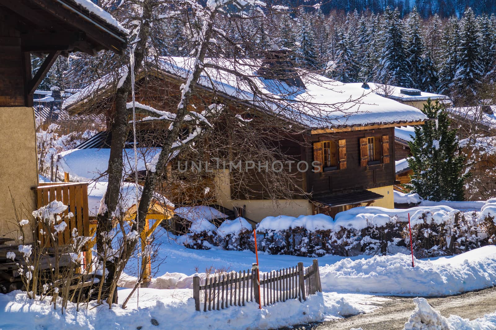 argentiere in chamonix in haute savoie in france