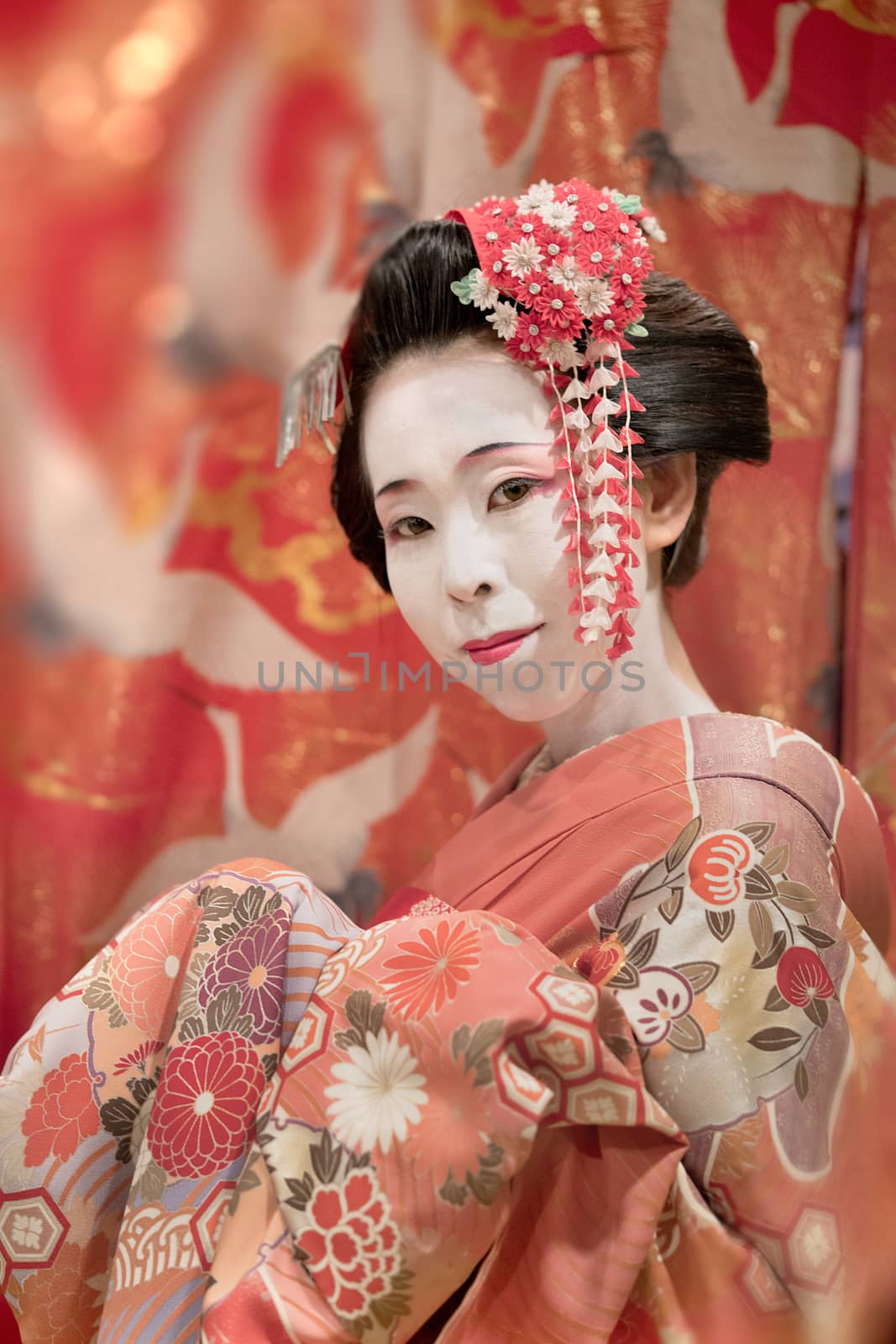 Japanese Maiko or geisha in red kimono coifed hair brooch with patterns of red and white plum blossoms