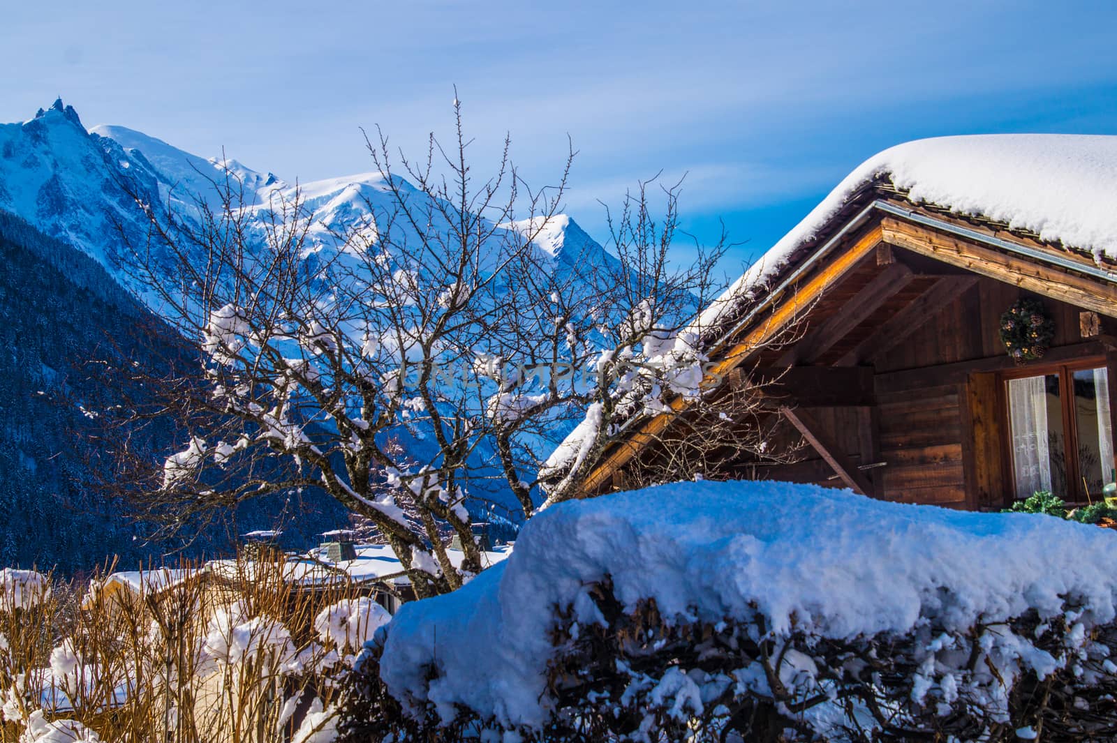 argentiere in chamonix in haute savoie in france