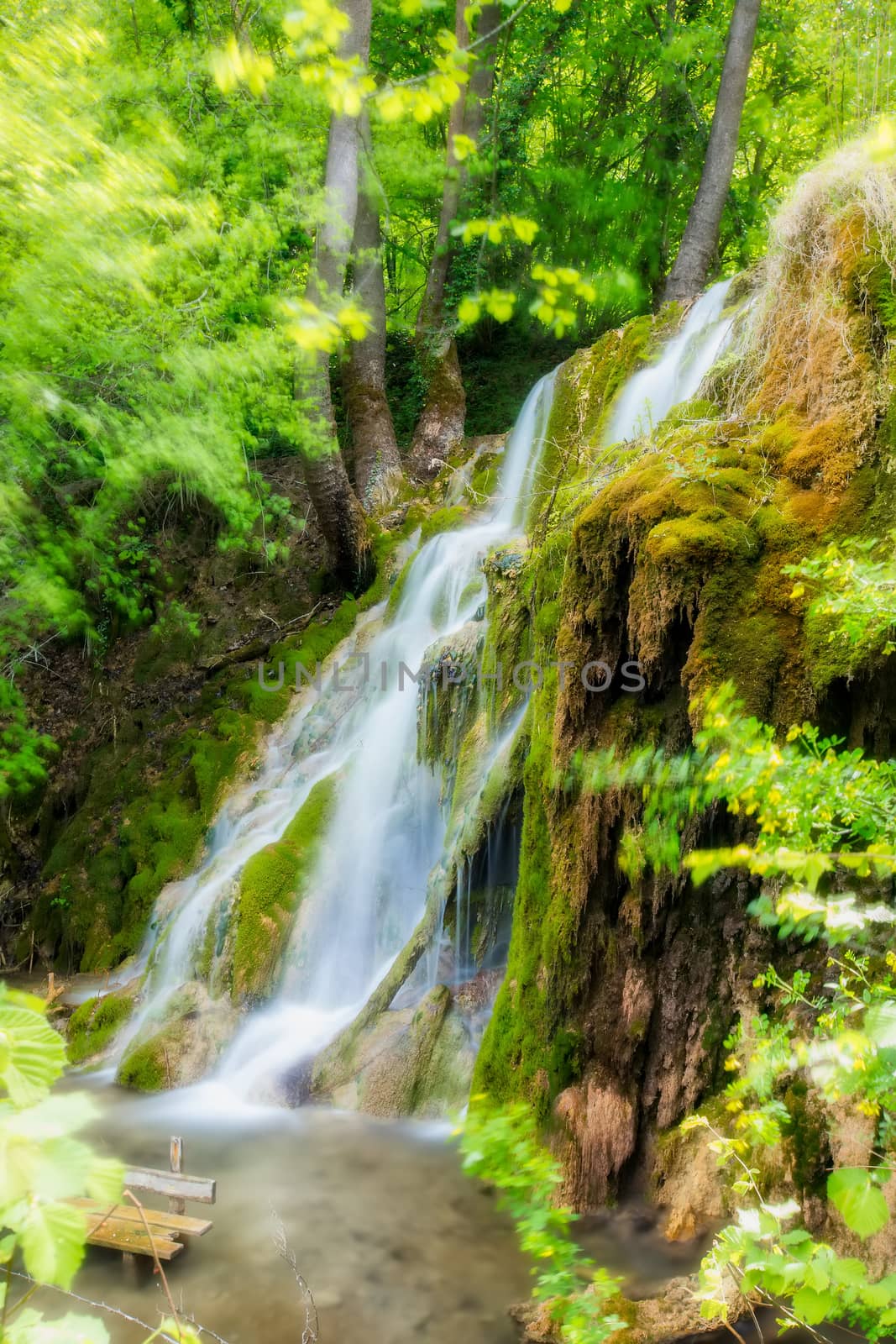 beautiful waterfall in the green forest in Skra at north Greece by ververidis