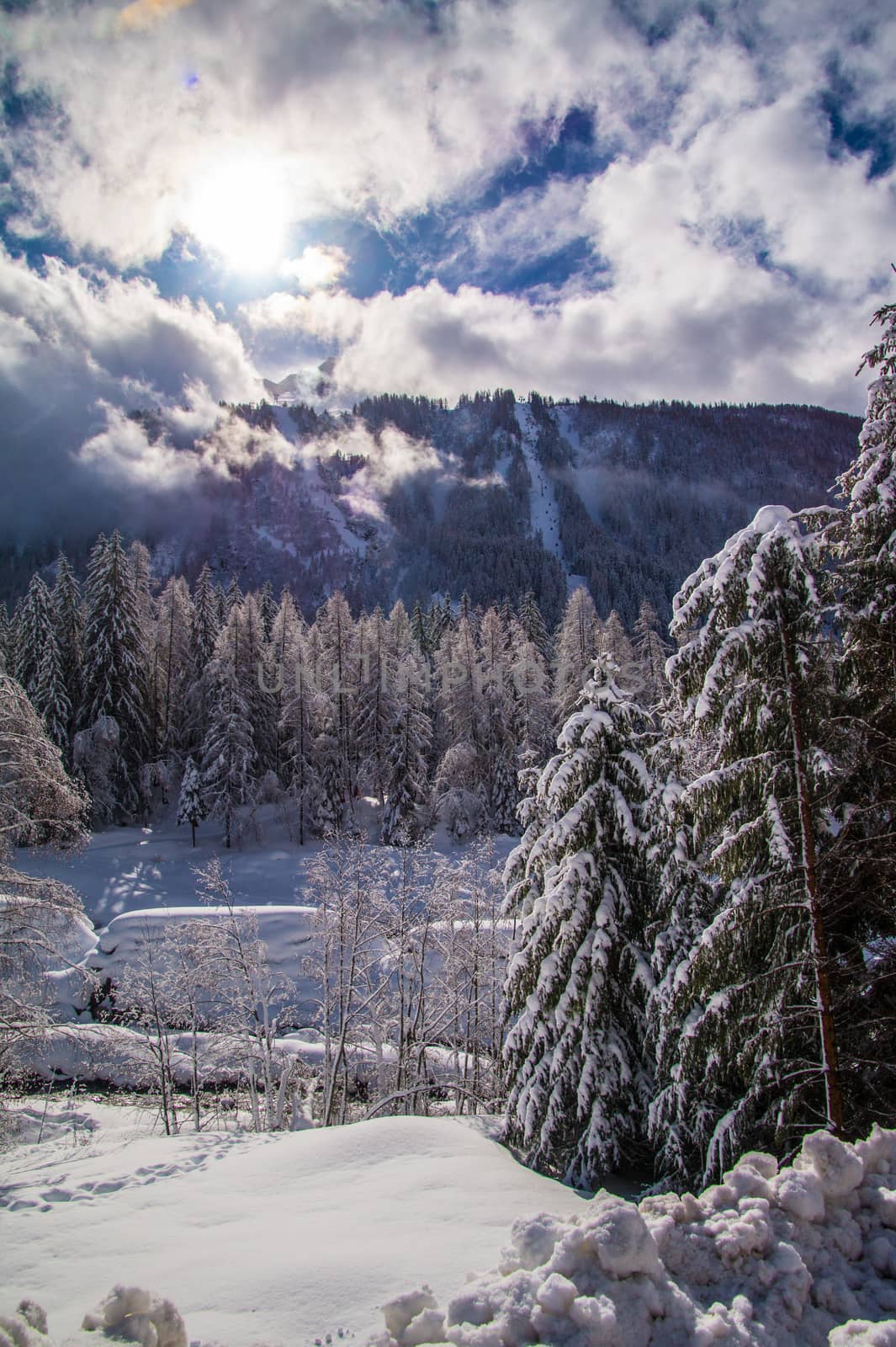 argentiere in chamonix in haute savoie in france