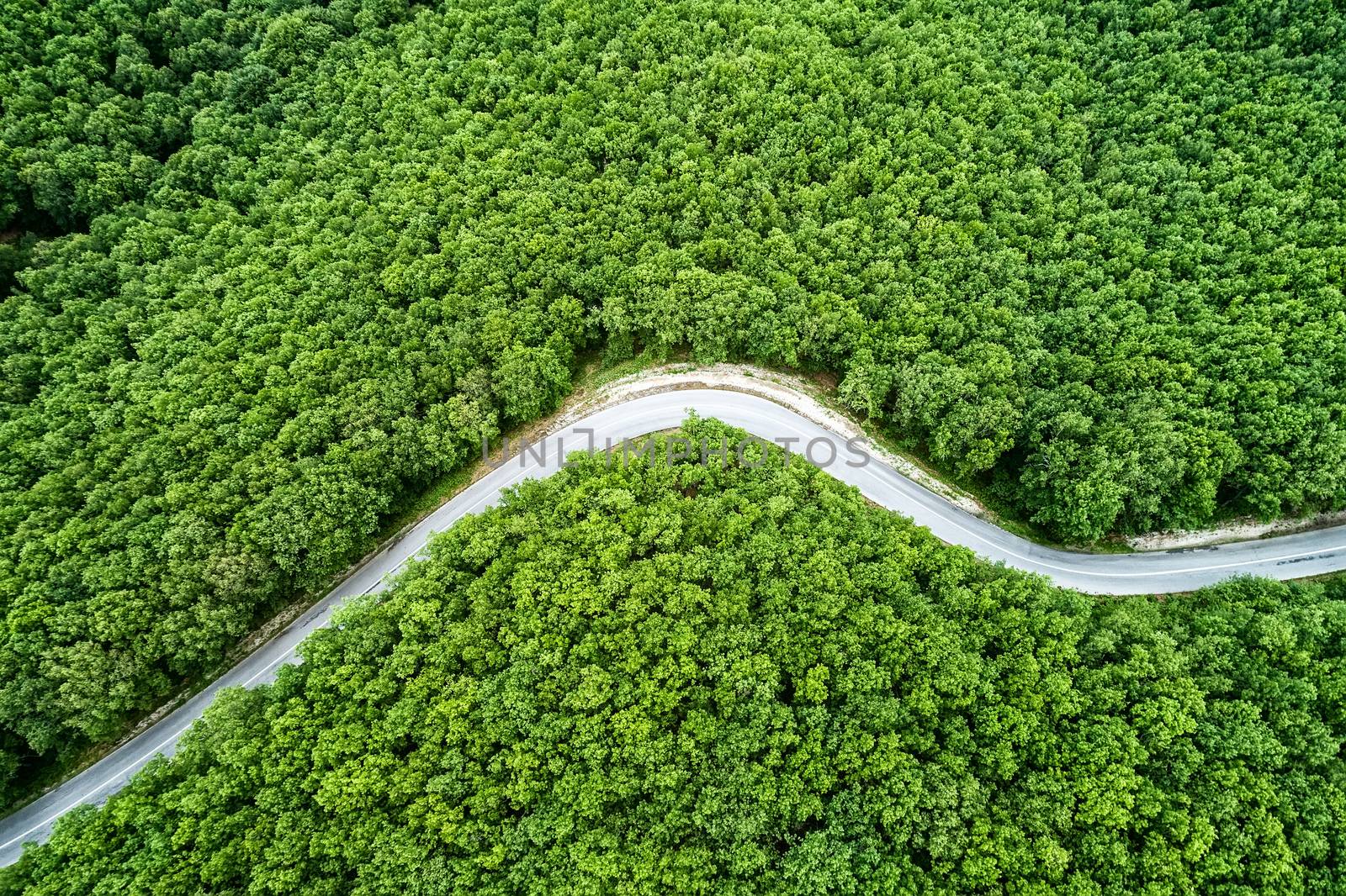 Aerial view of a provincial road passing through a forest ιn Chalkidiki, northern Greece