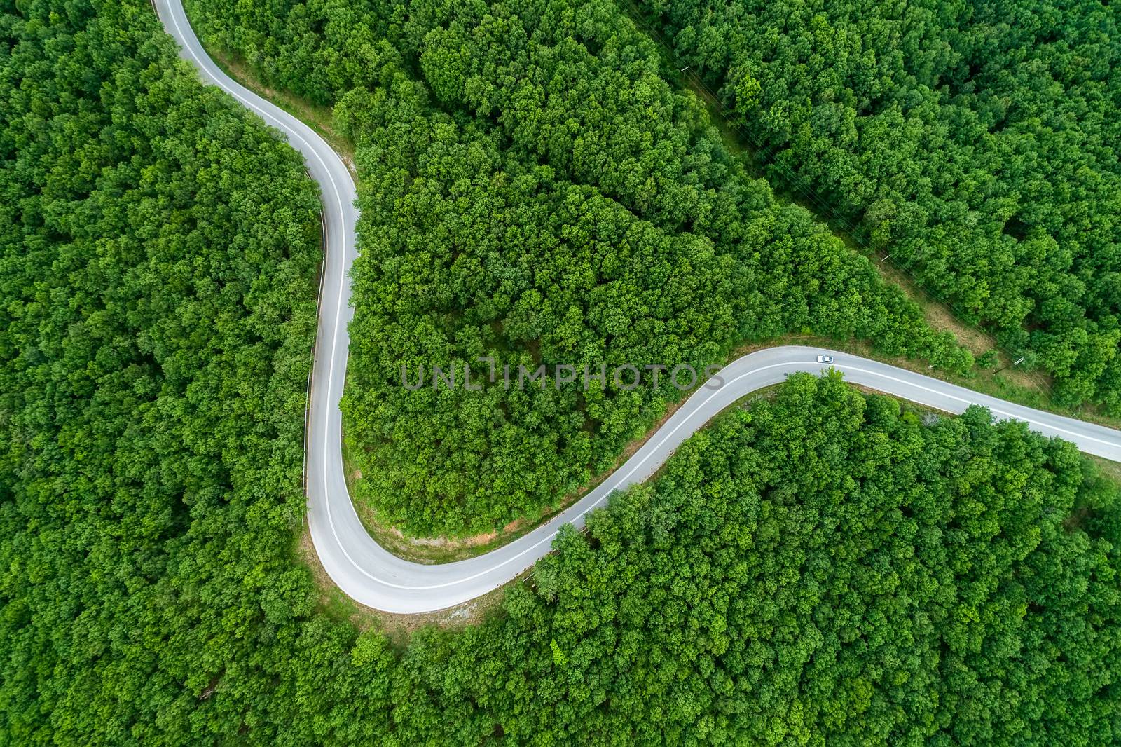 Aerial view of a provincial road passing through a forest ιn Chalkidiki, northern Greece