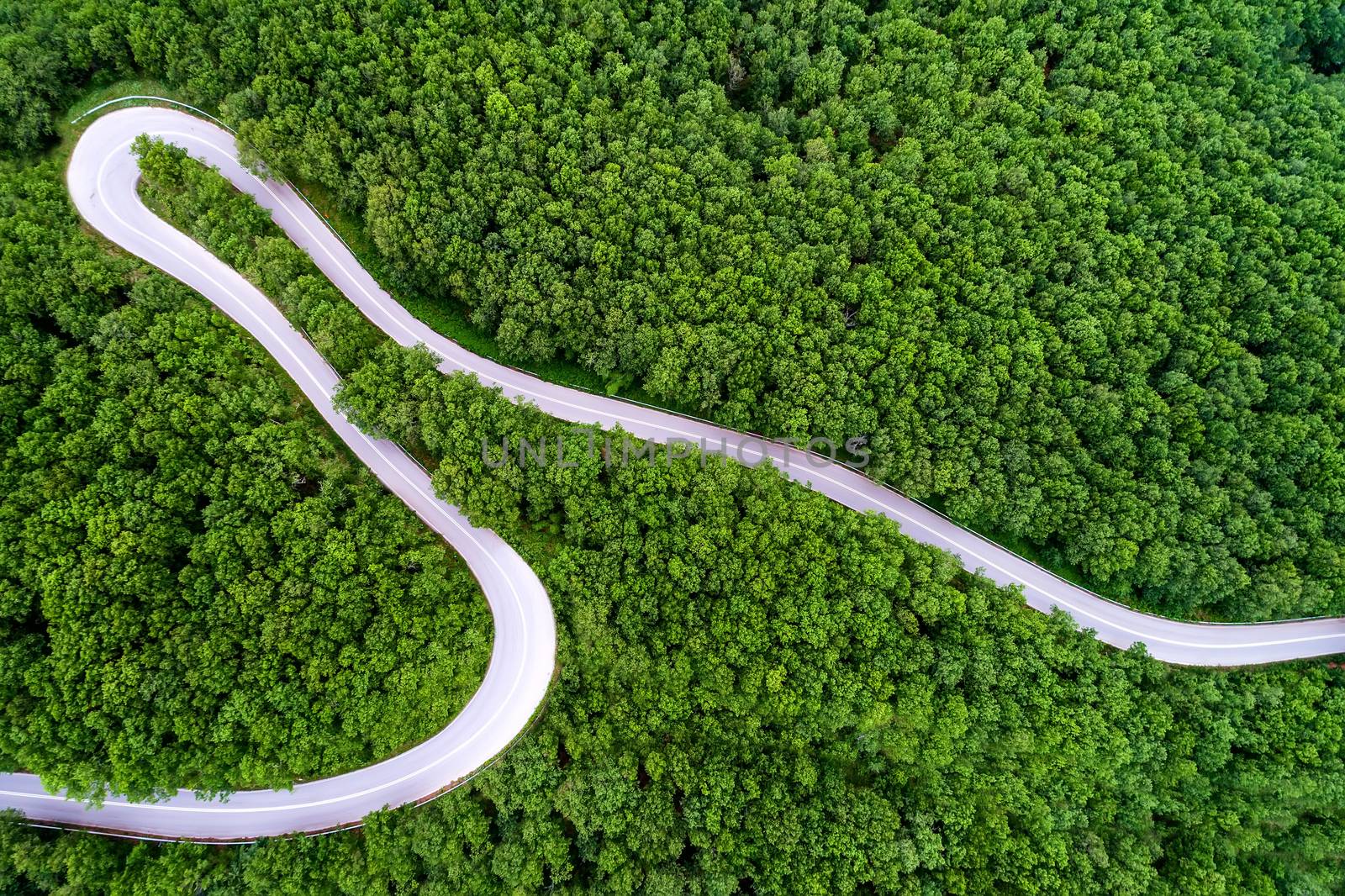 Aerial view of a provincial road passing through a forest ιn Chalkidiki, northern Greece