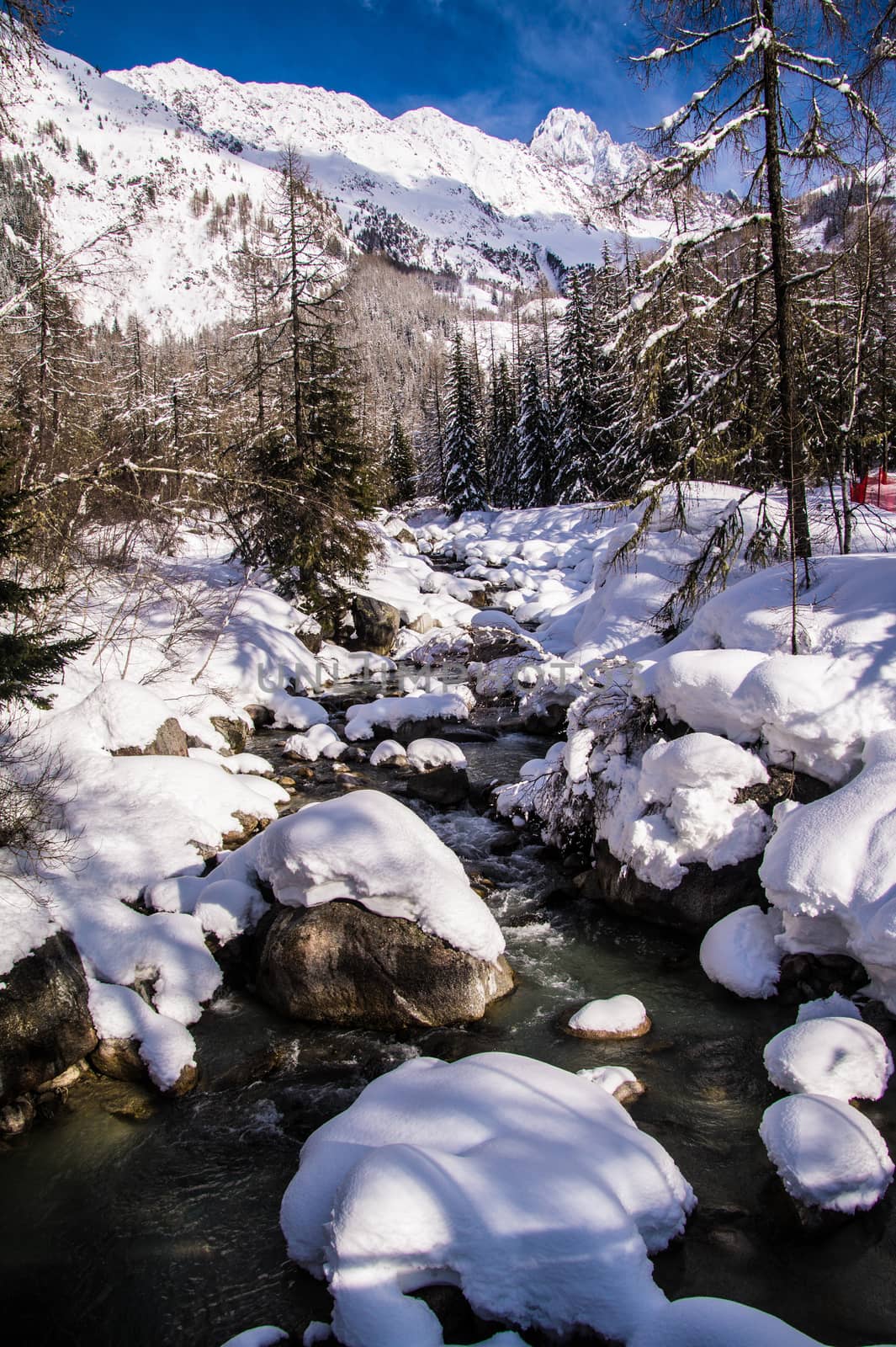 argentiere in chamonix in haute savoie in france