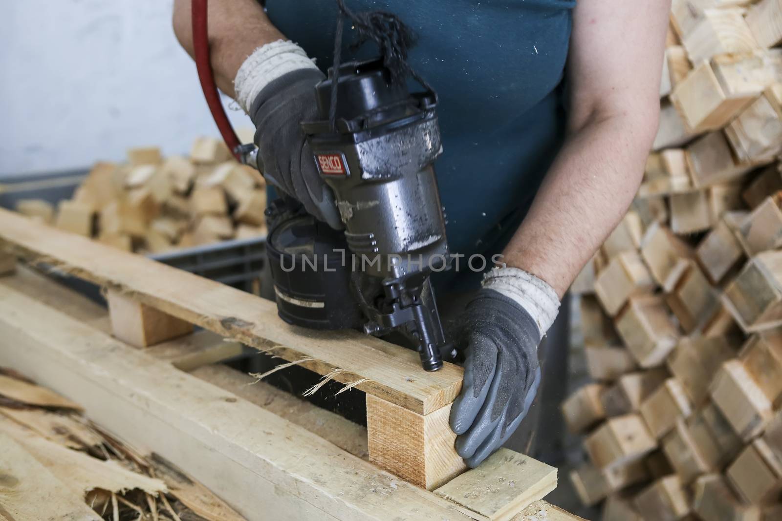 Craftsman puts nails in a piece of wood at a woodworking factory by ververidis