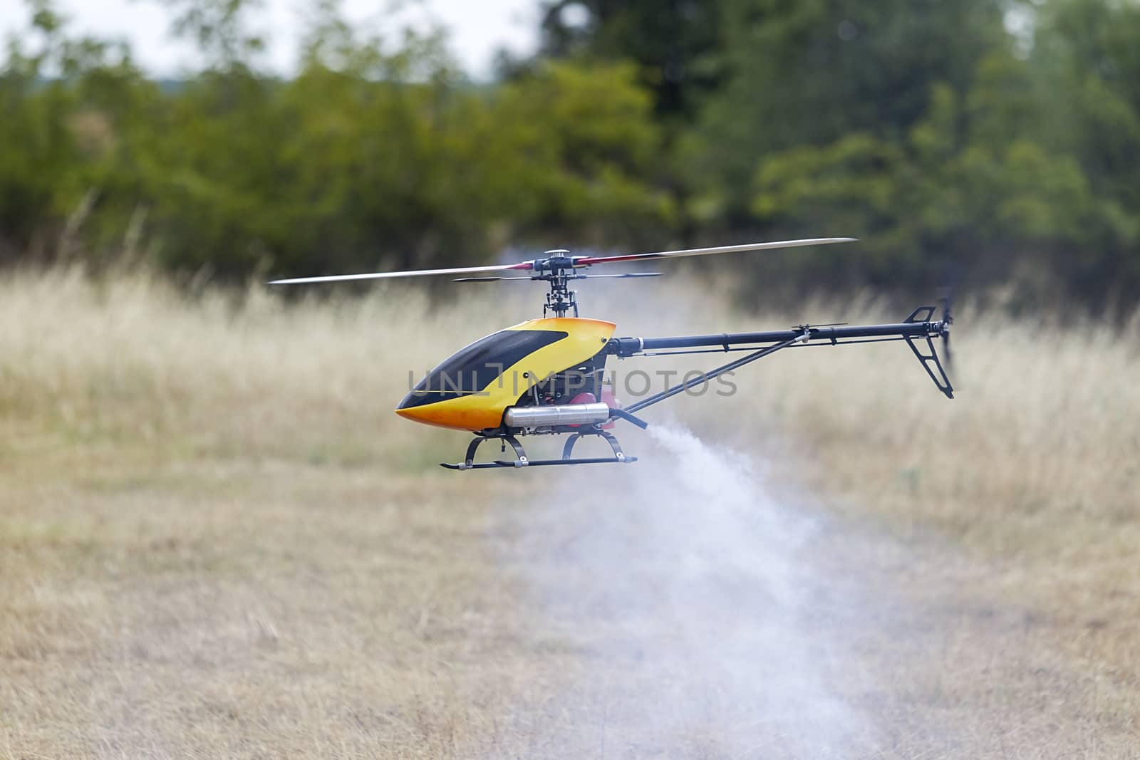 F3C aerobatic helicopter, nitro, gasoline and electric remote control model
