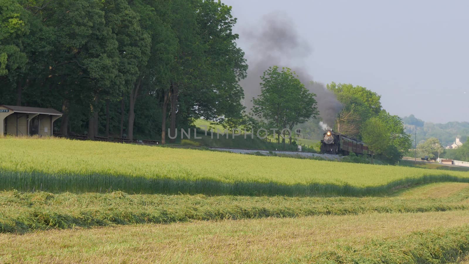 Steam Train pulling into Picnic Area to Dropping off Passengers on a Summer Day