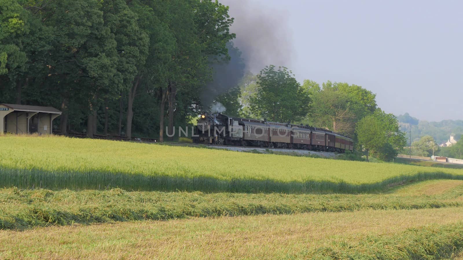Steam Train pulling into Picnic Area to Dropping off Passengers on a Summer Day