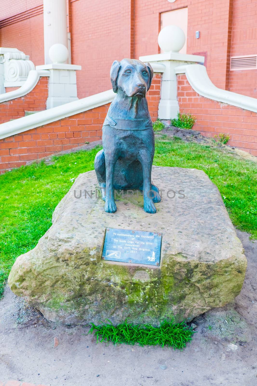 Bronze Statue of a guide dog sitting down