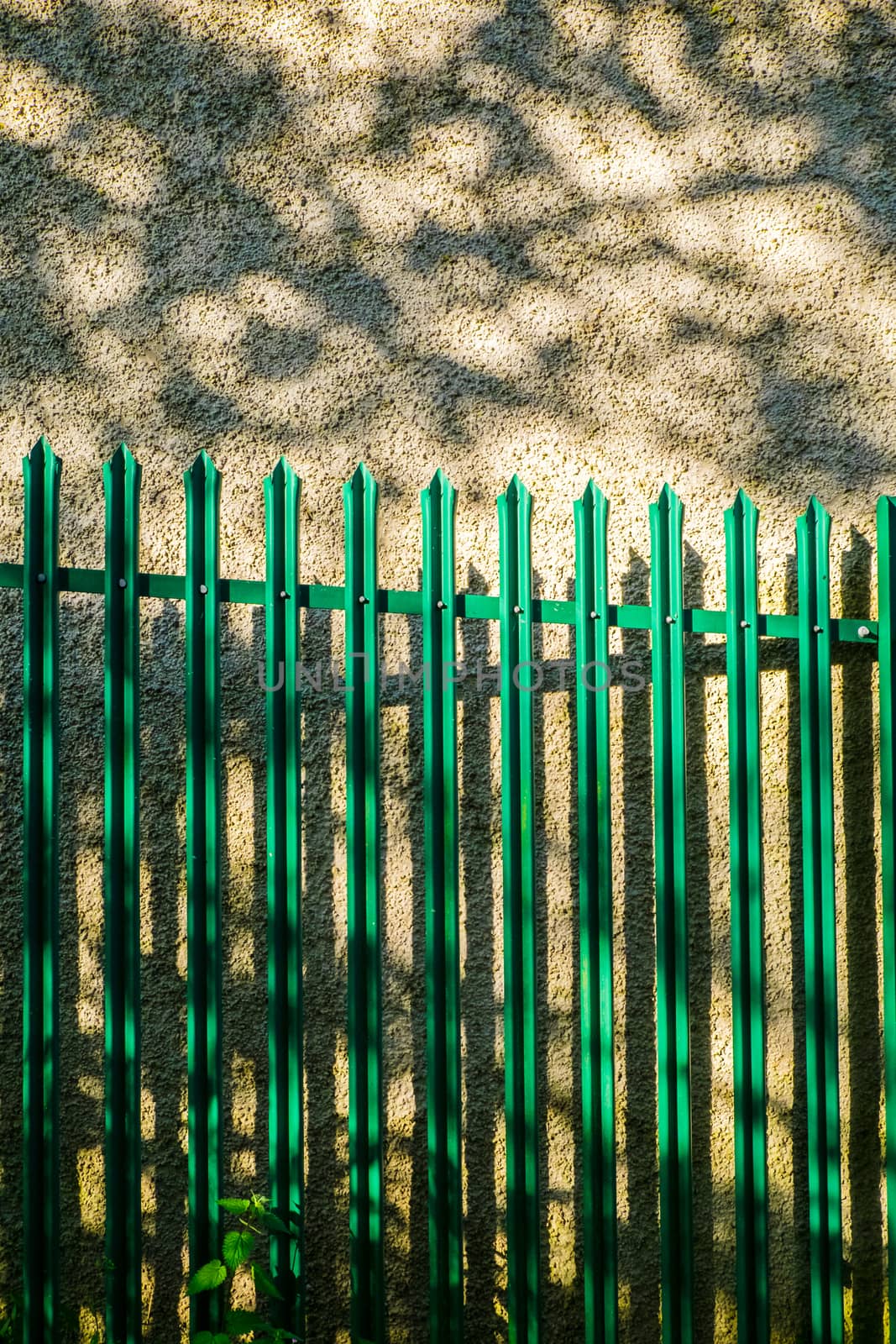 green metal railing with shadows on the wall behind