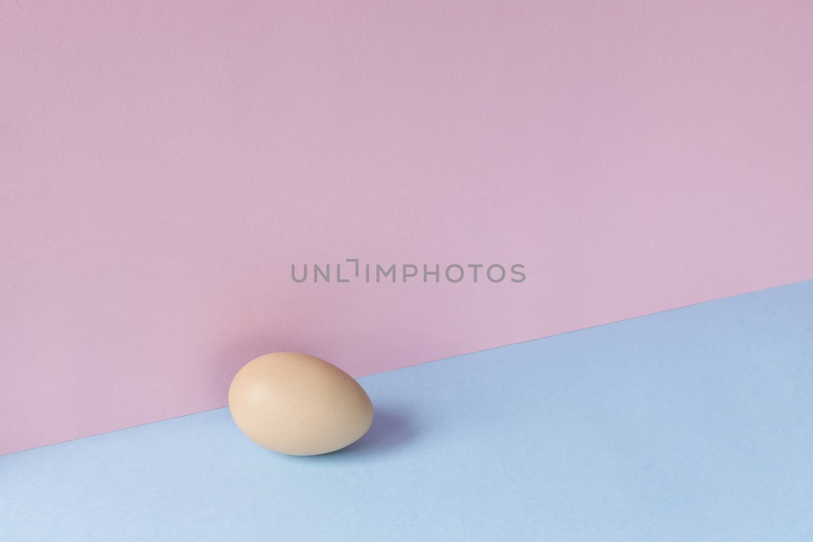 Minimalist image of a brown egg on a light blue and pink background. Copy space available.