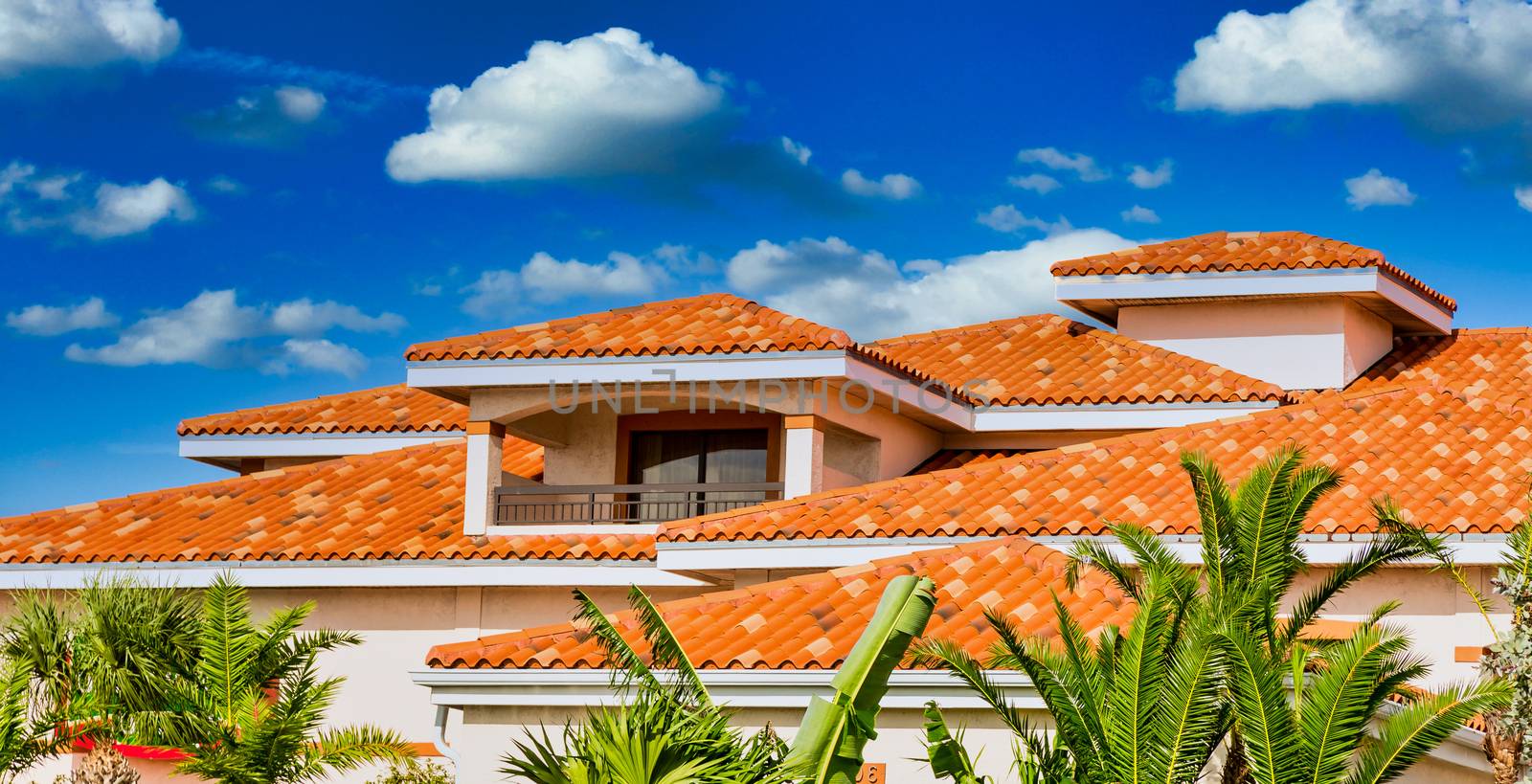 Orange Clay Tiles Under Blue Skies Beyond Green Palm Trees