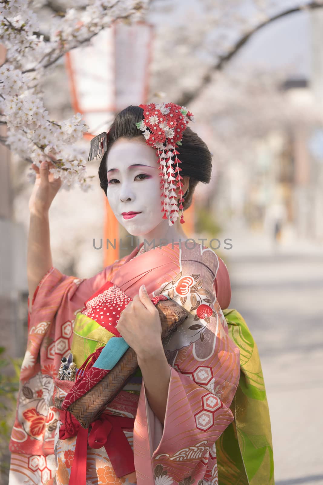 Maiko in kimono with kanzashi pins and holding a cherry branch in Kyoto's Gion district.