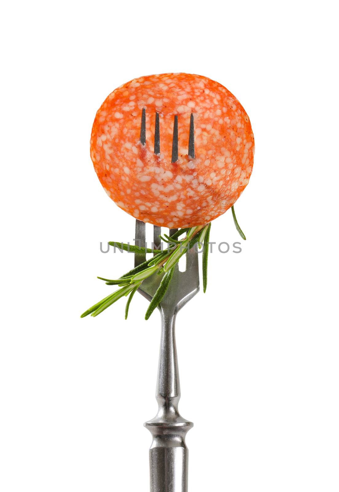 Slice of Hungarian salami and fresh rosemary on fork isolated on white