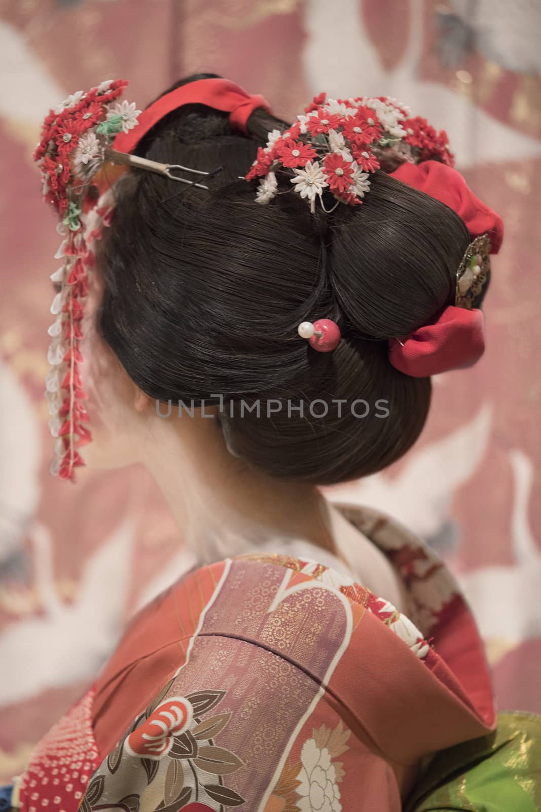 Maiko or geisha in red kimono back coifed hair brooch with patterns of red and white plum blossoms on japanese screen background.