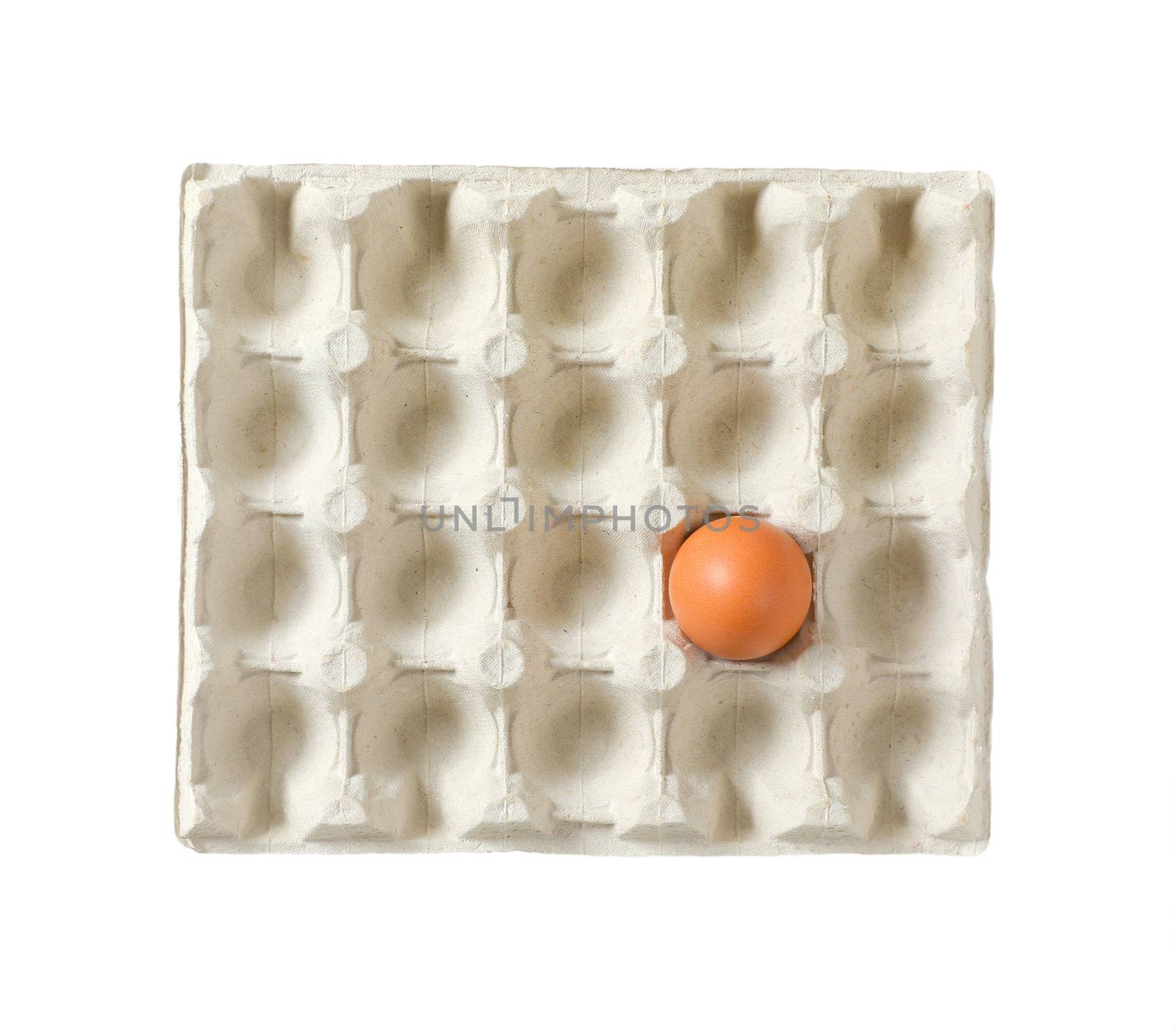 One brown egg in carton isolated on white by Digifoodstock