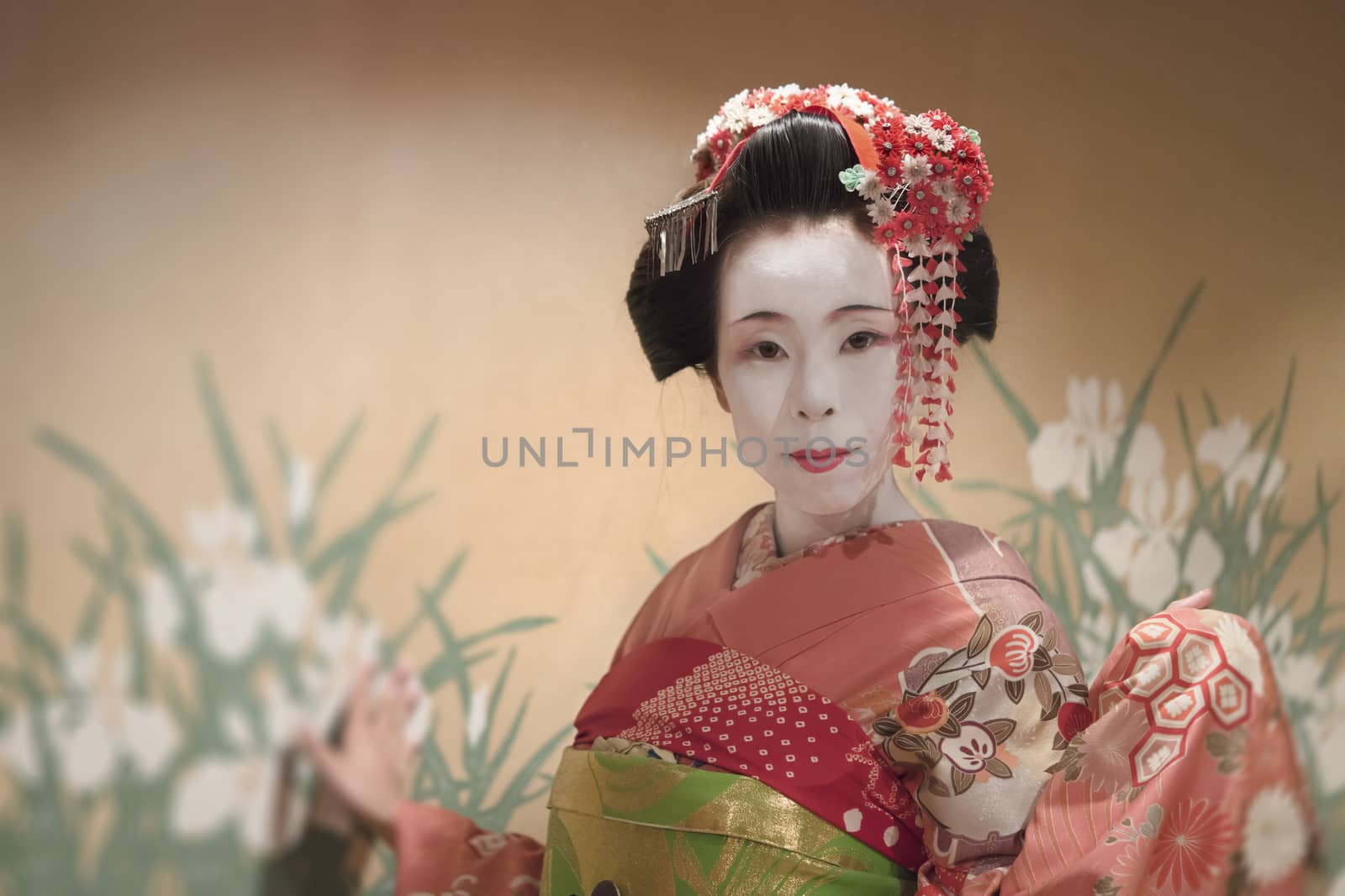 Japanese Maiko or geisha in red kimono coifed hair brooch with patterns of red and white plum blossoms