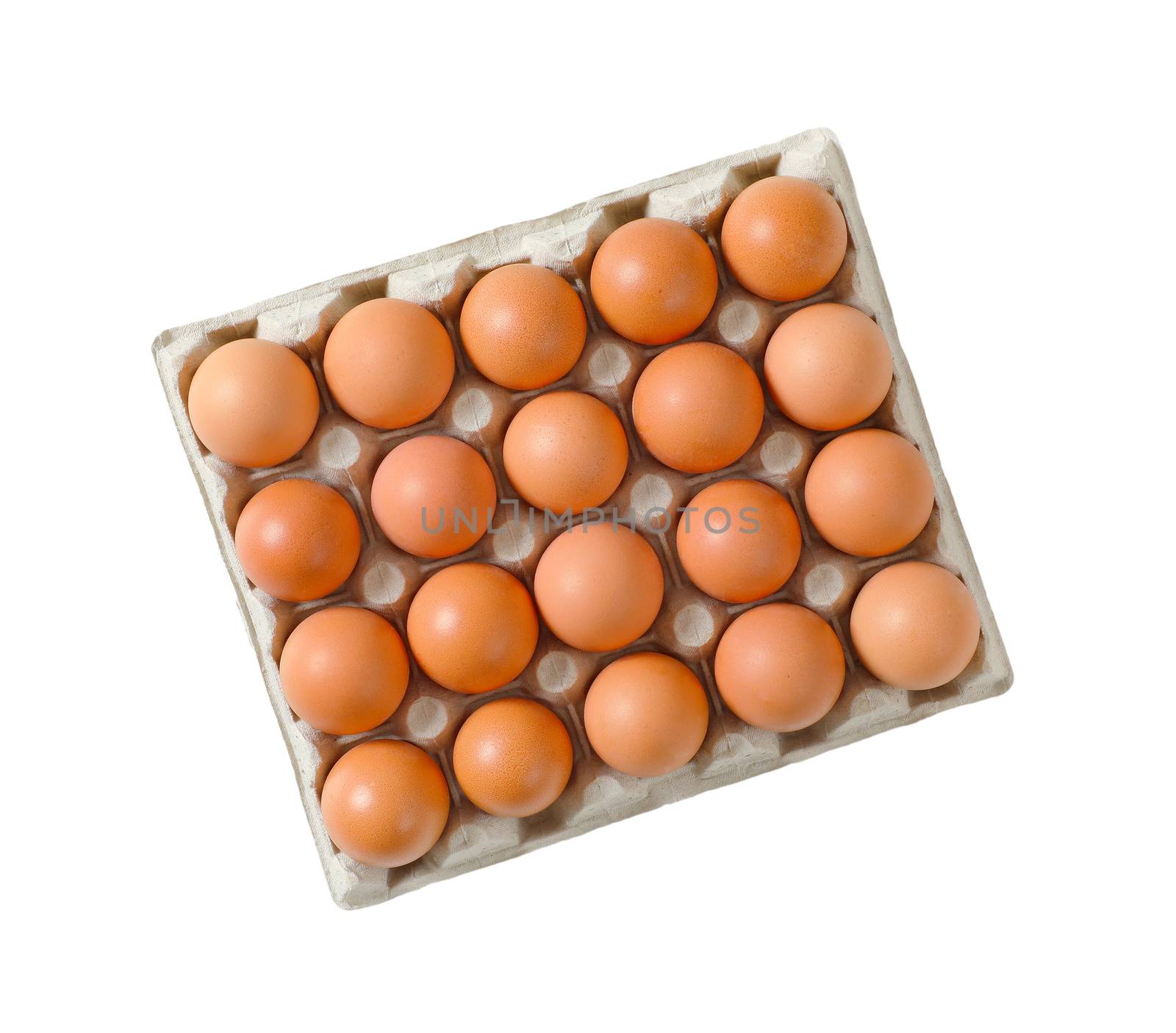 Carton of twenty fresh eggs by Digifoodstock